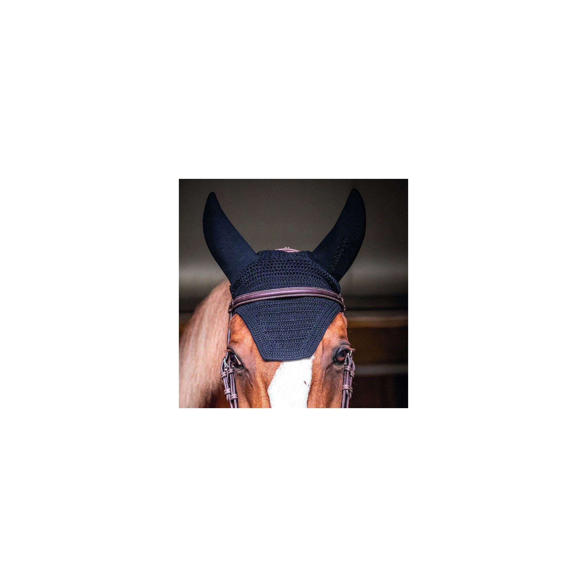 PADDOCK Soundless luva