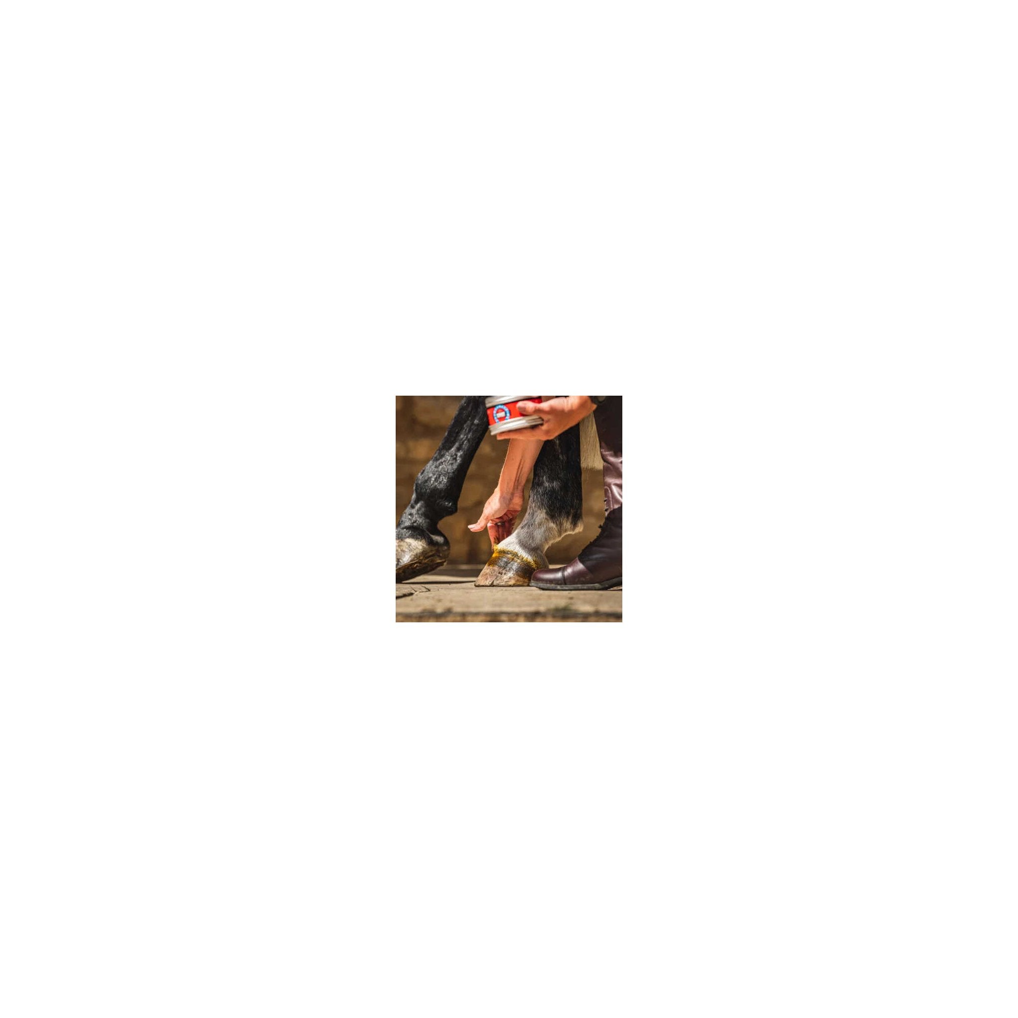 CARR & DAY & MARTIN - Cornucrescine - Hoof Ointment