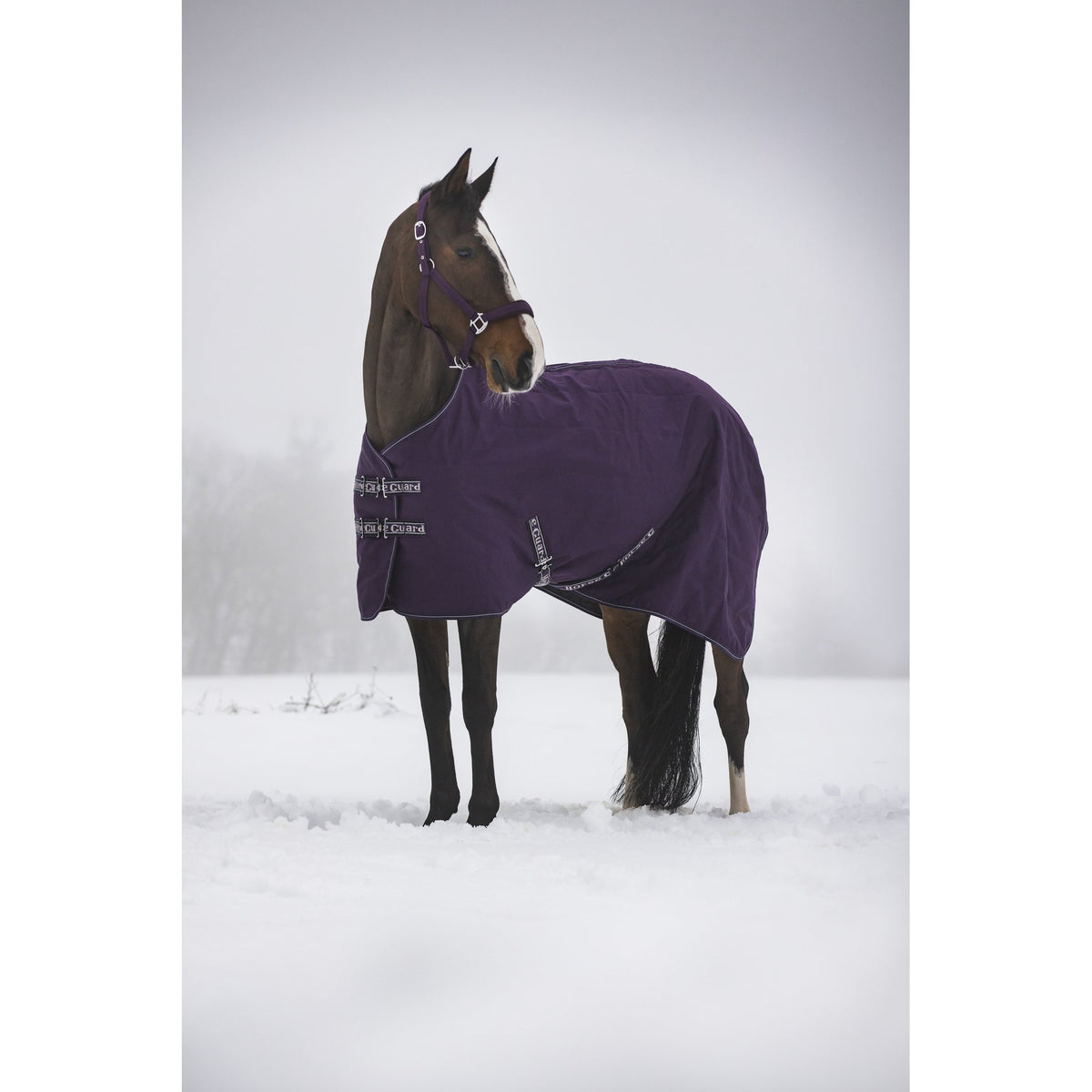 Horse Guard Sophie 600D stalltäcke 100g