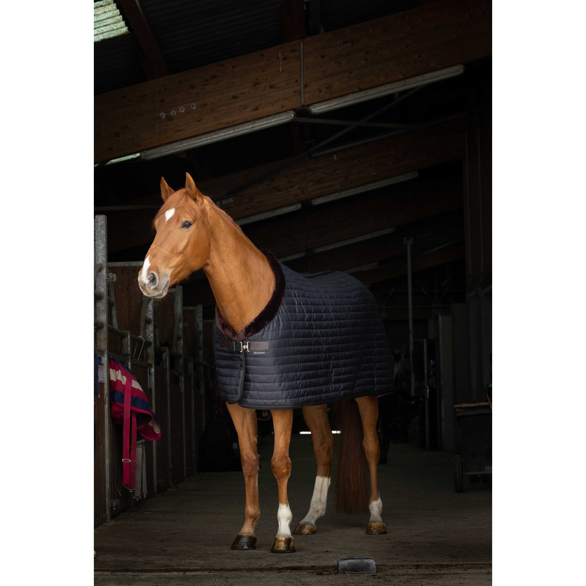 Equithème Stalltäcke med krage 150 g