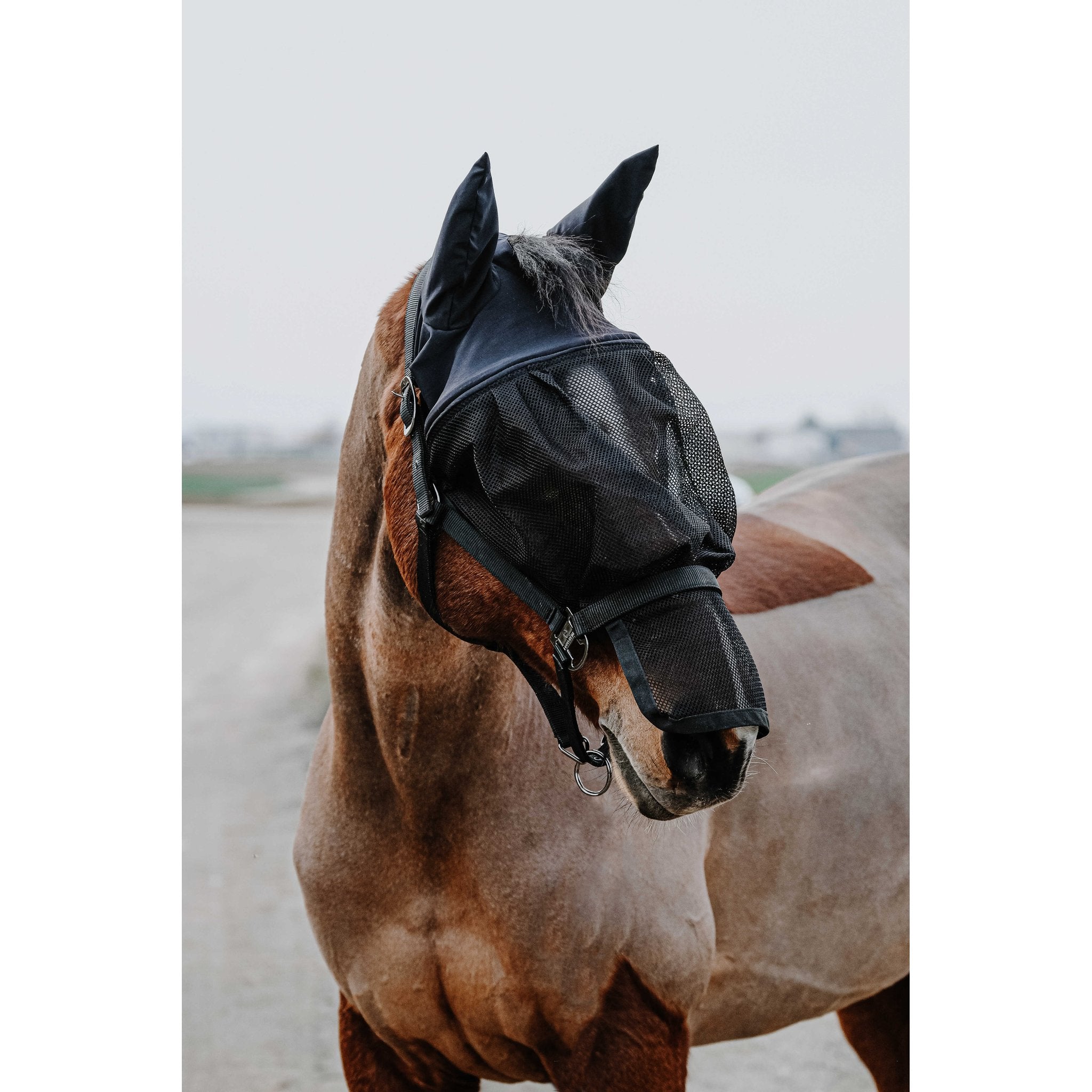 Equithème Grimma + mask