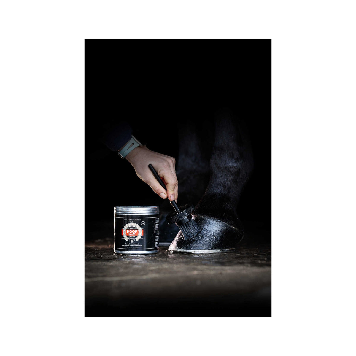 Carr & Day & Martin Cornucresine Hoof balm black