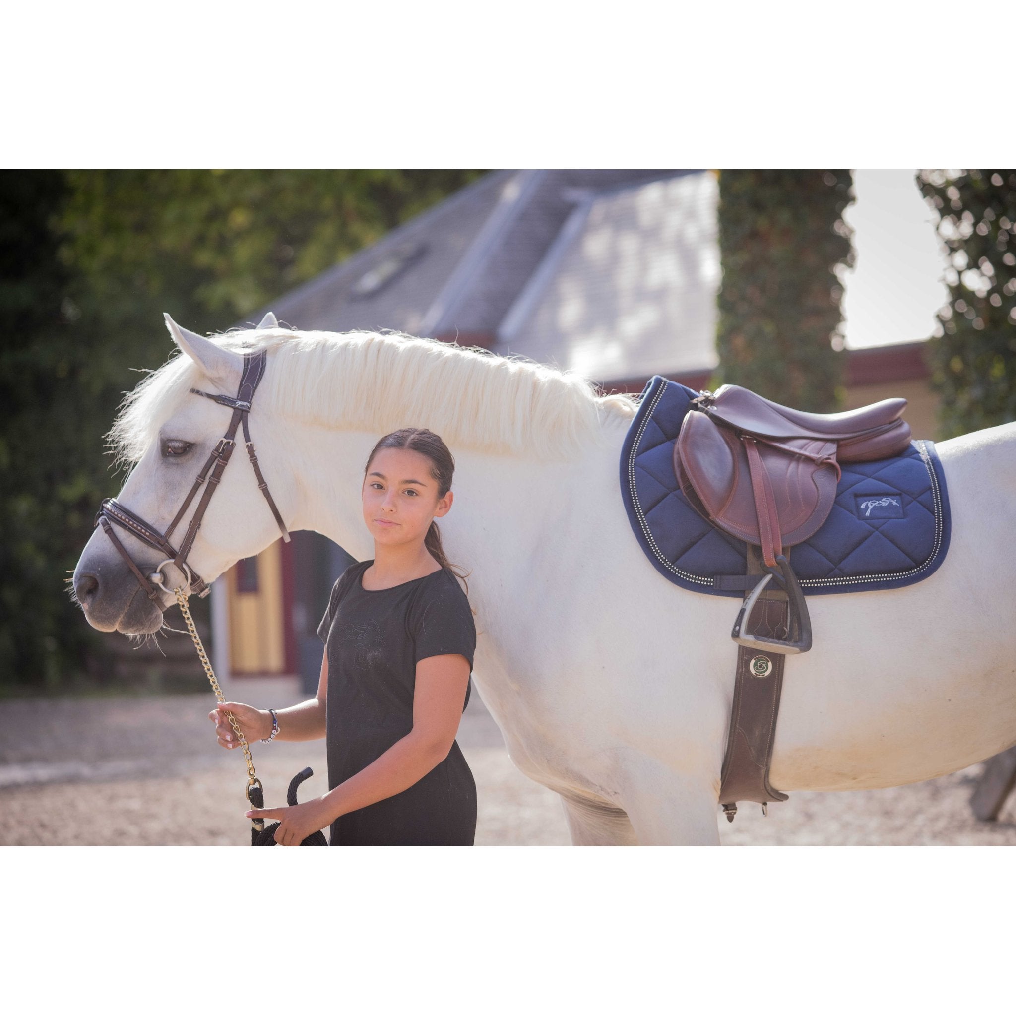 PENELOPE New Strass Schabrak