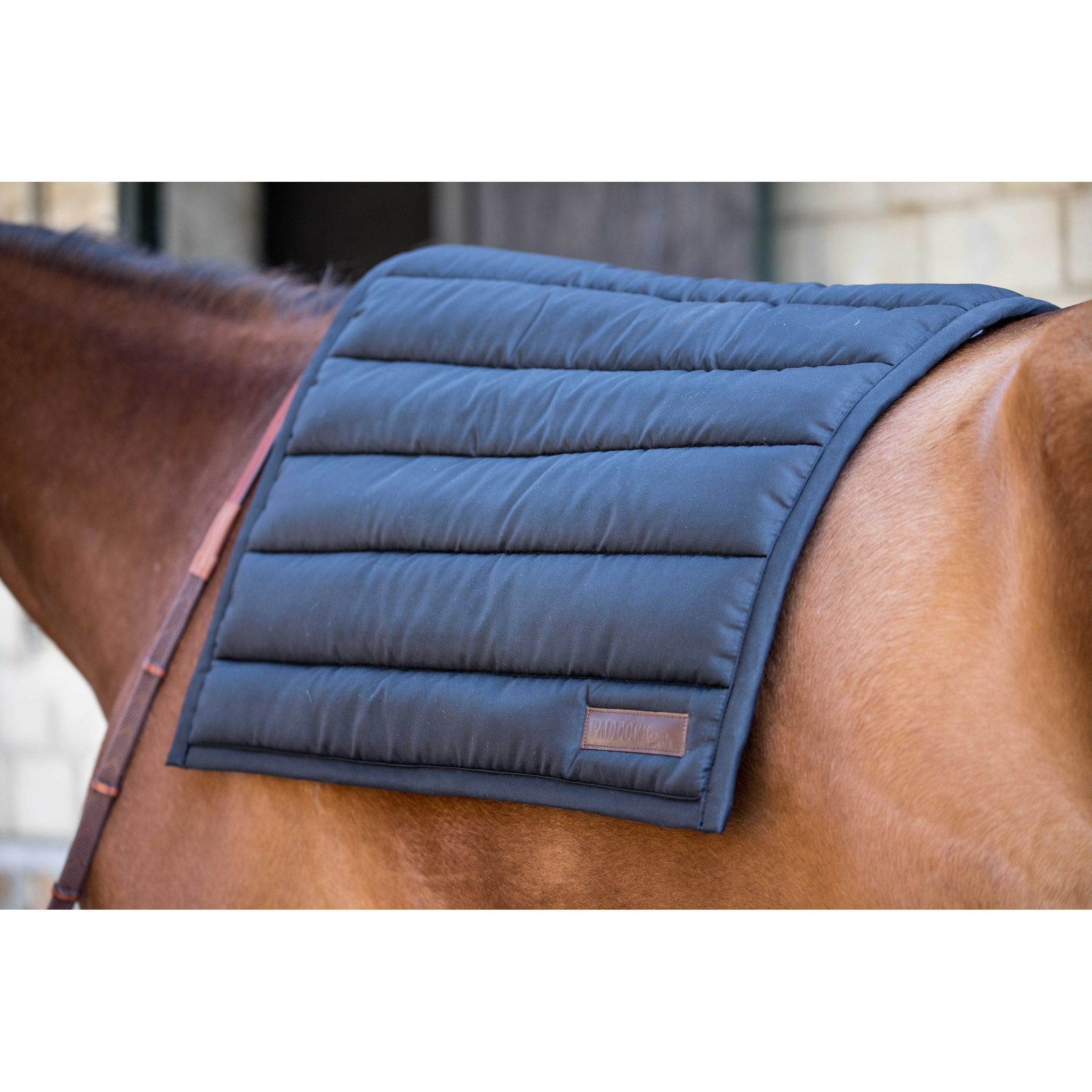 PADDOCK Big pad schabrak