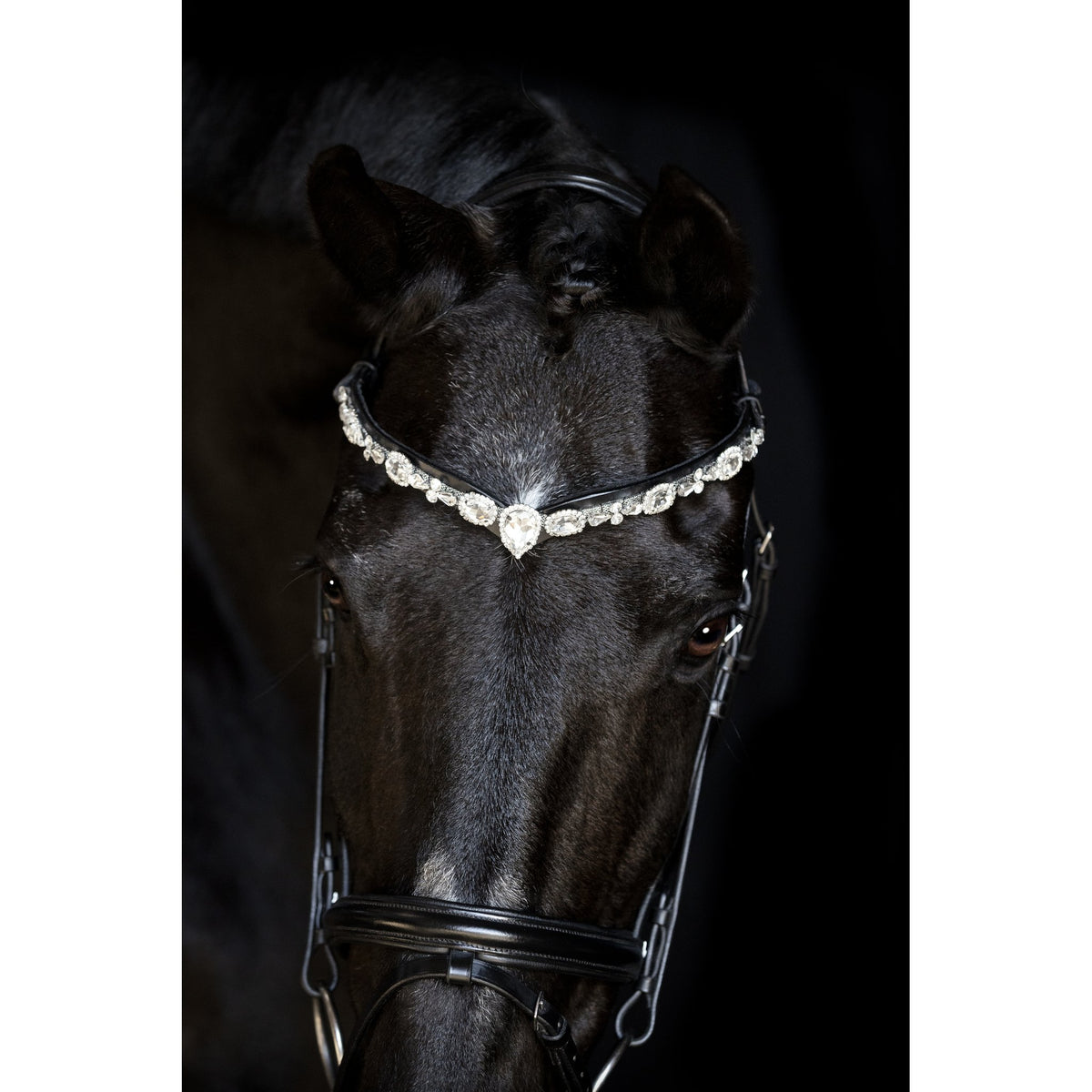 Horse Guard Sunnywale pannband