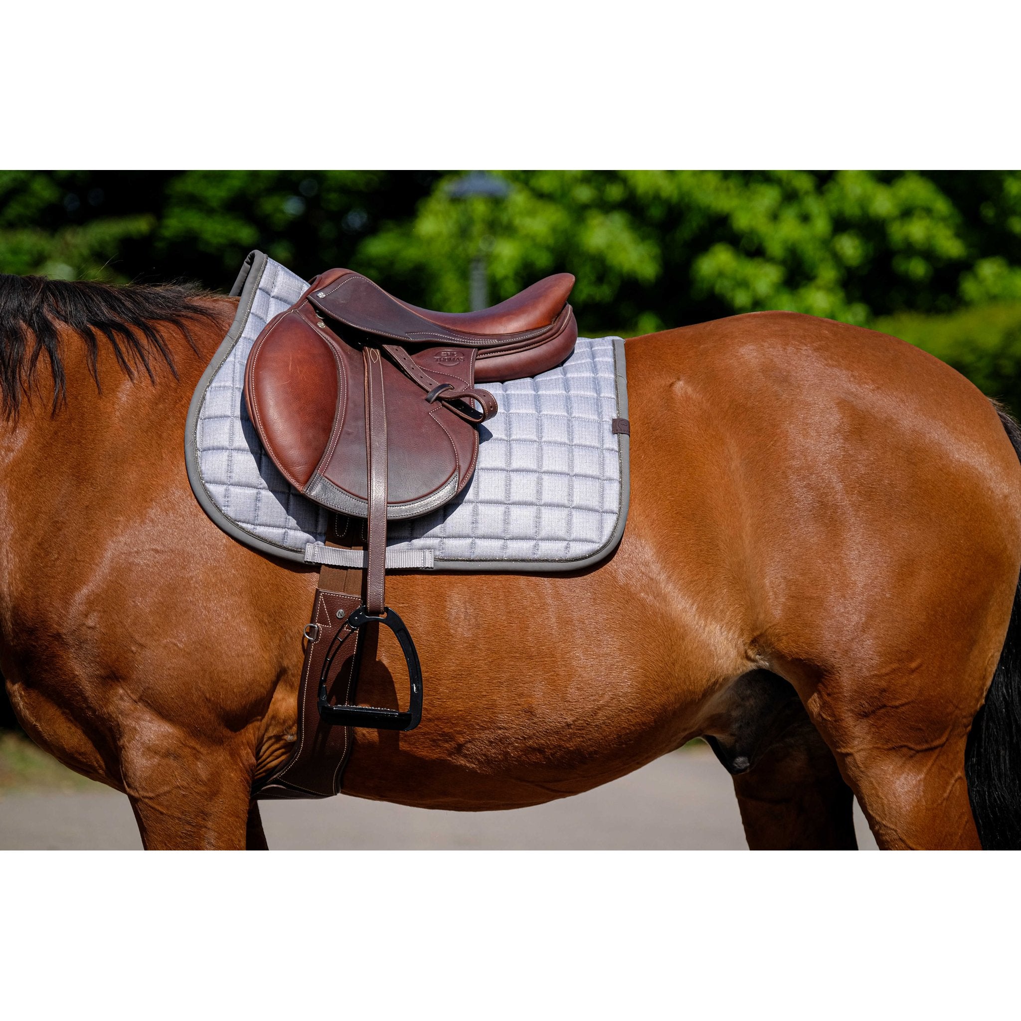 Equithème Chic Schabrak