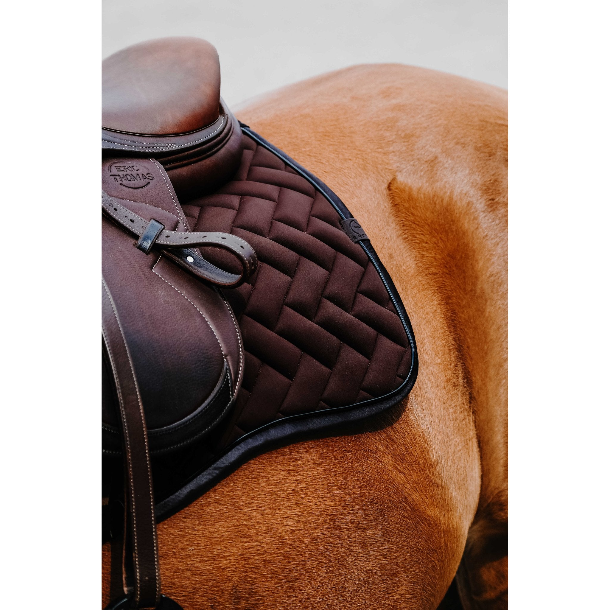Equithème Impulsion Schabrak