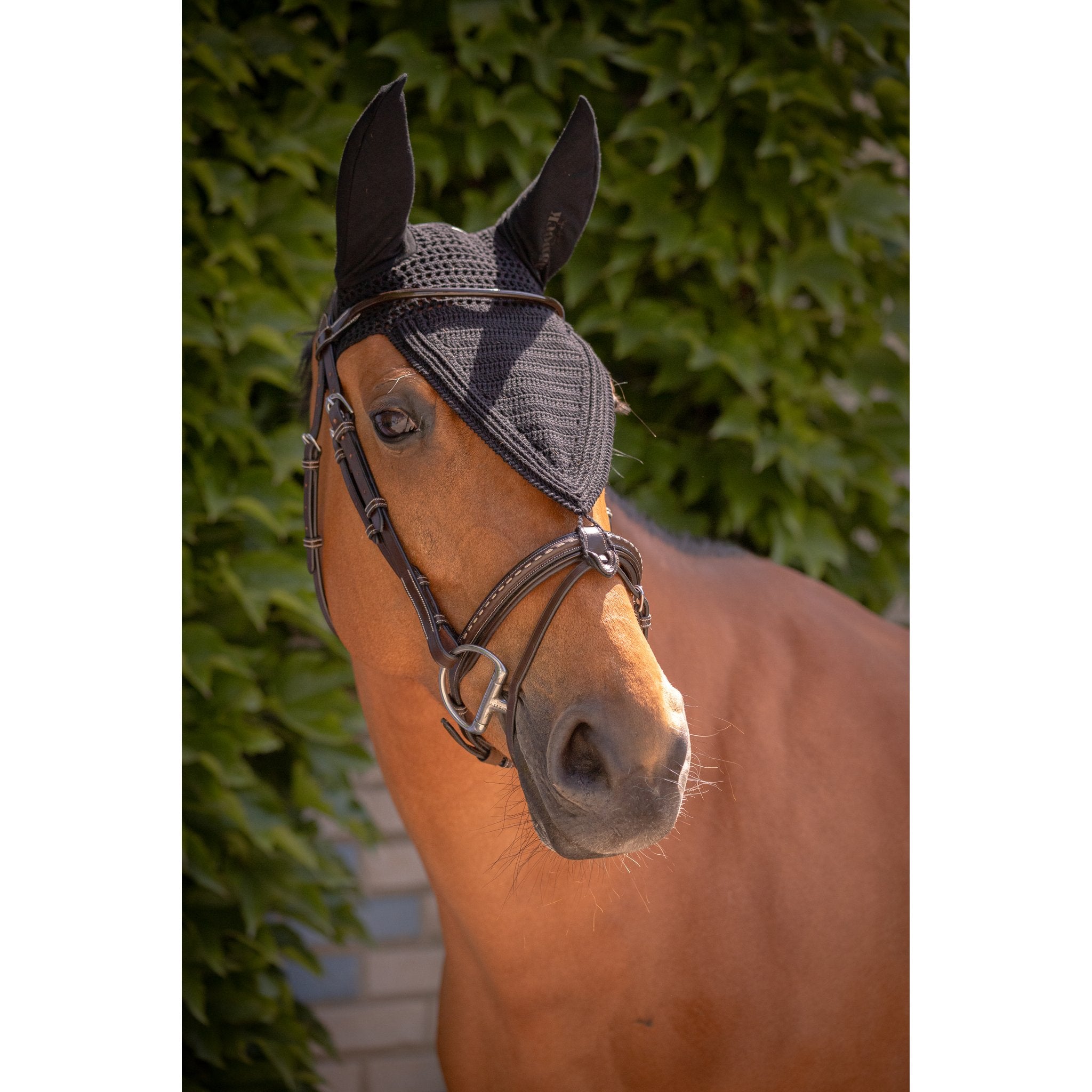 PADDOCK Pro coton luva lång