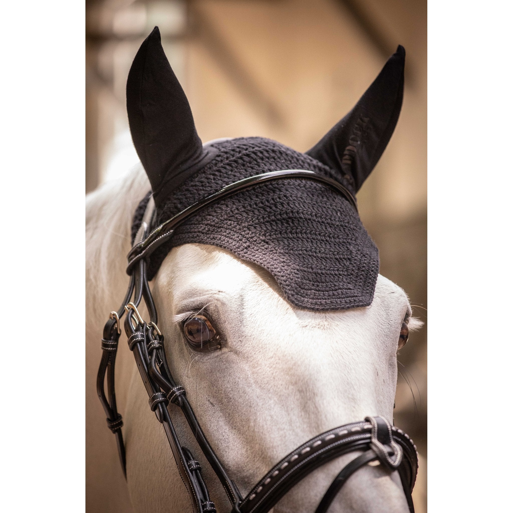 PADDOCK Pro coton luva