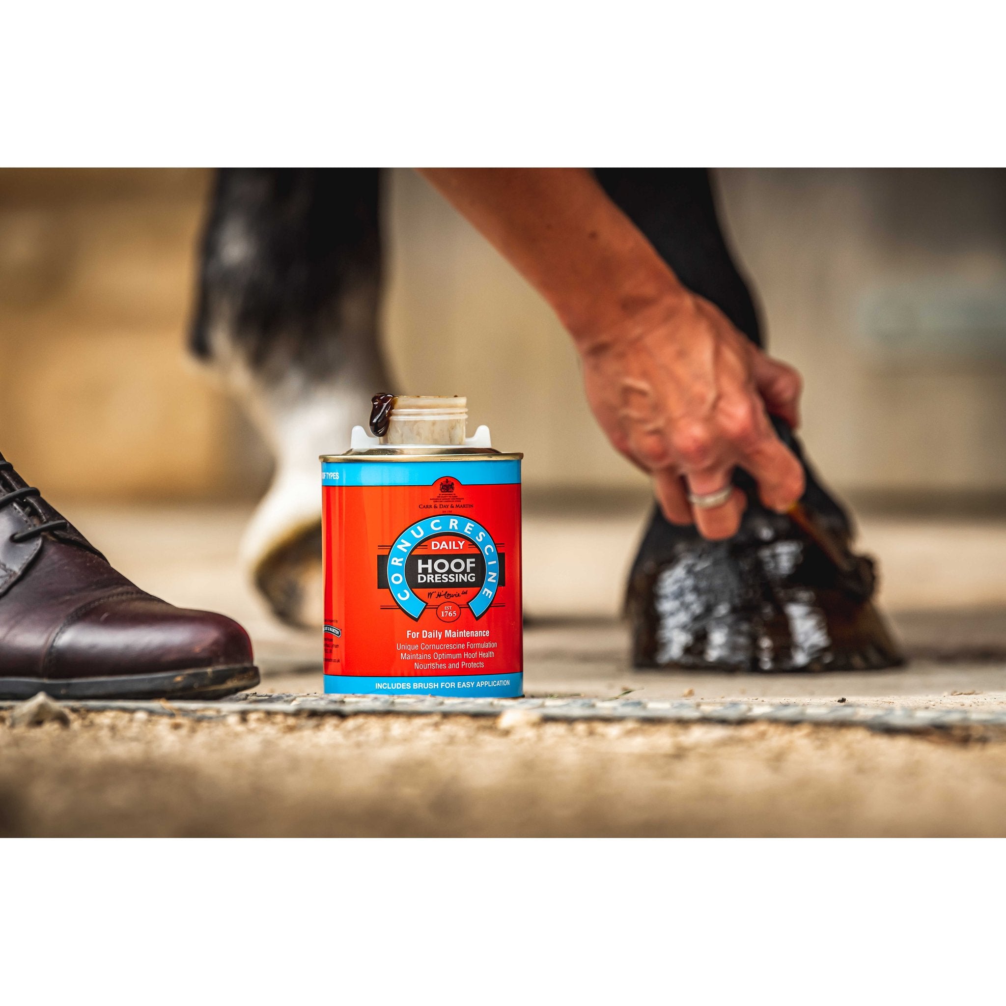 CARR & DAY & MARTIN - Hoof Dressing Cornucrescine - Hoof Oil