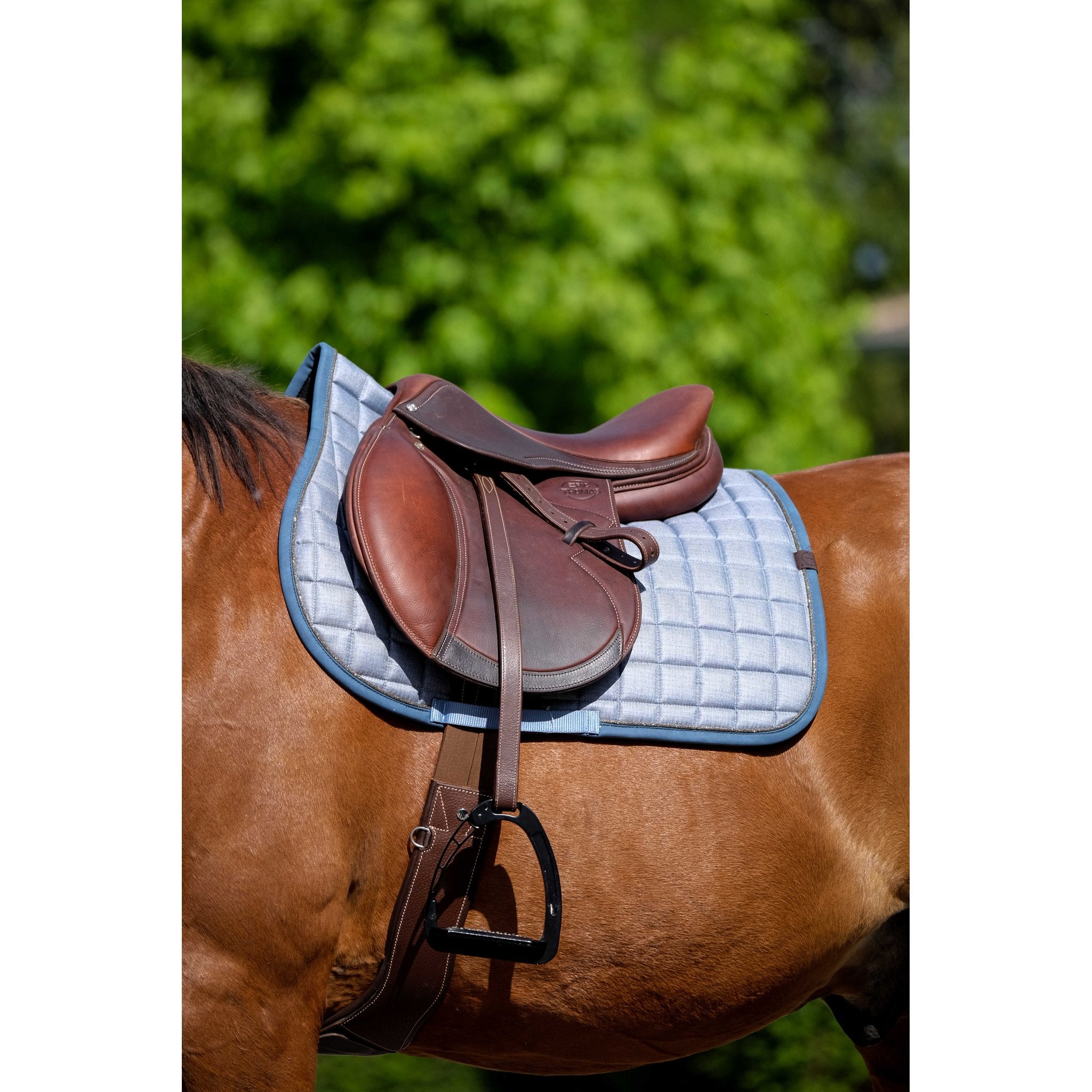 Equithème Chic Schabrak