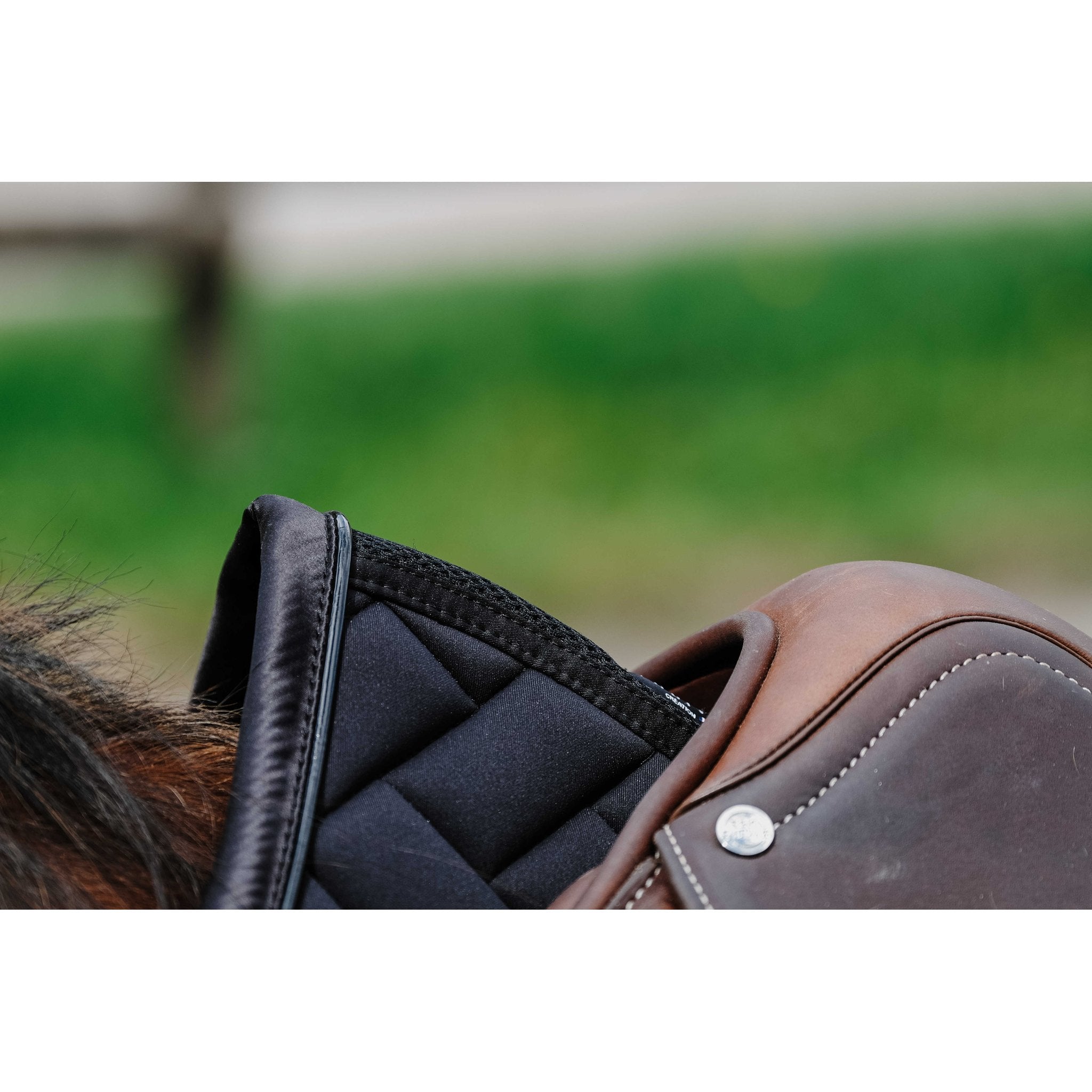 Equithème Impulsion Schabrak