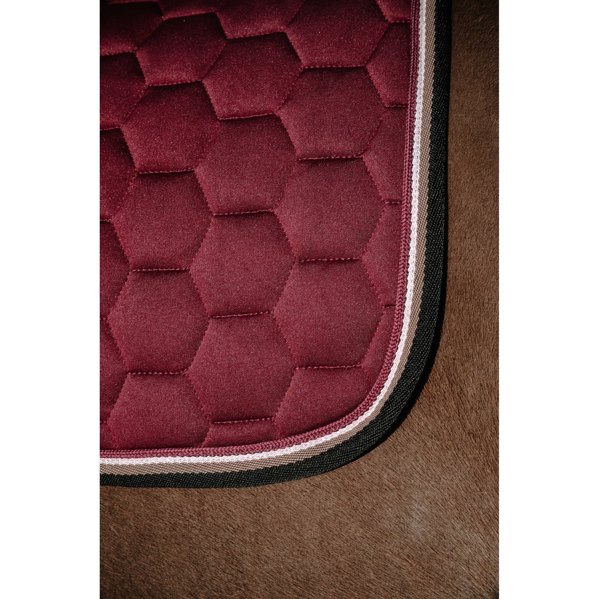 Equitheme Coco schabrak