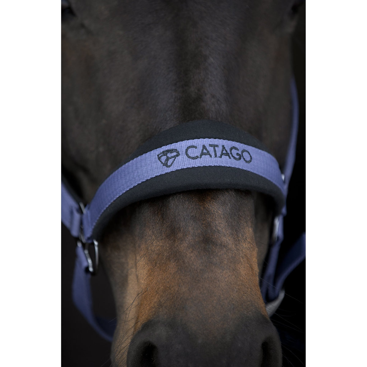 Catago FIR-Tech grimma 2.2