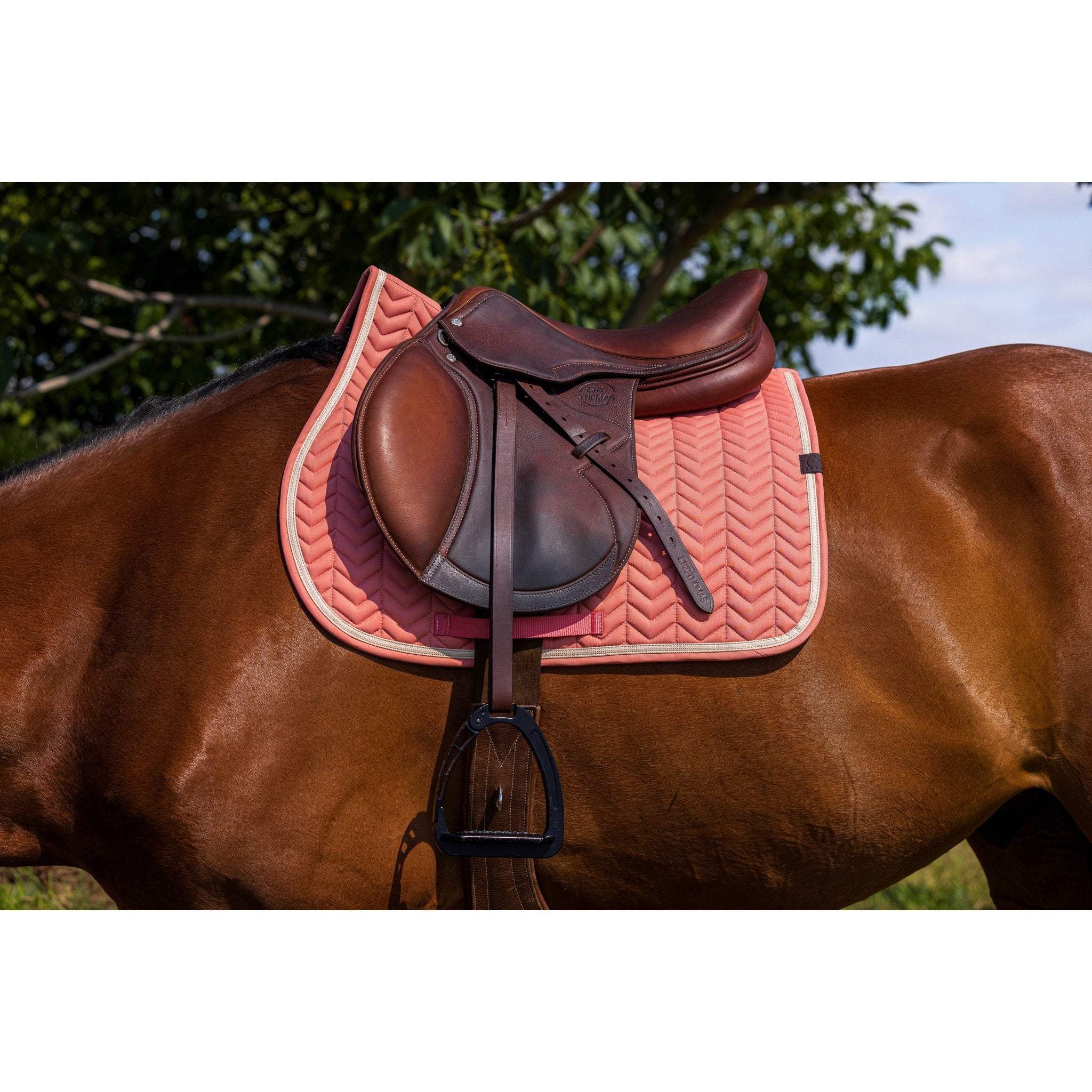 Equithème Softypop Schabrak