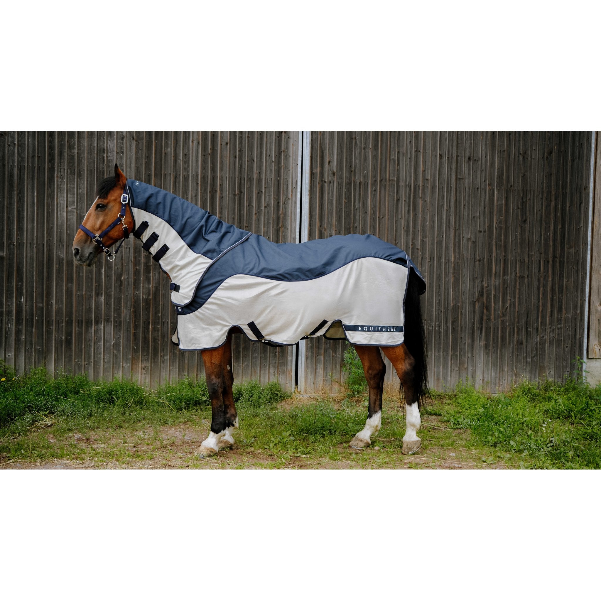 Equitheme TYREX Combofly 600 D