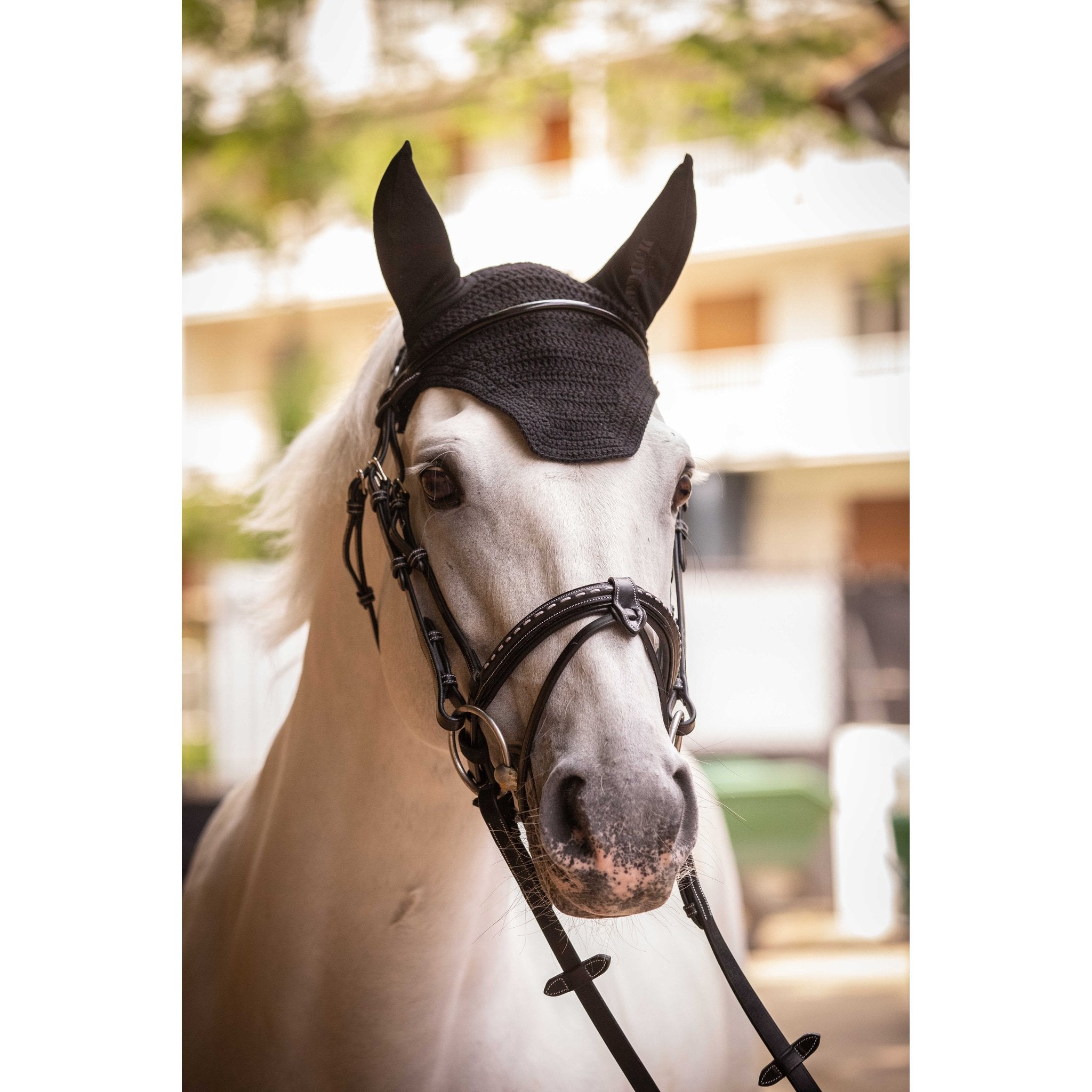 PADDOCK Pro coton luva
