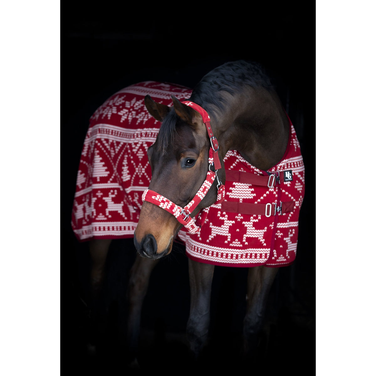 Horse Guard Christmas grimma