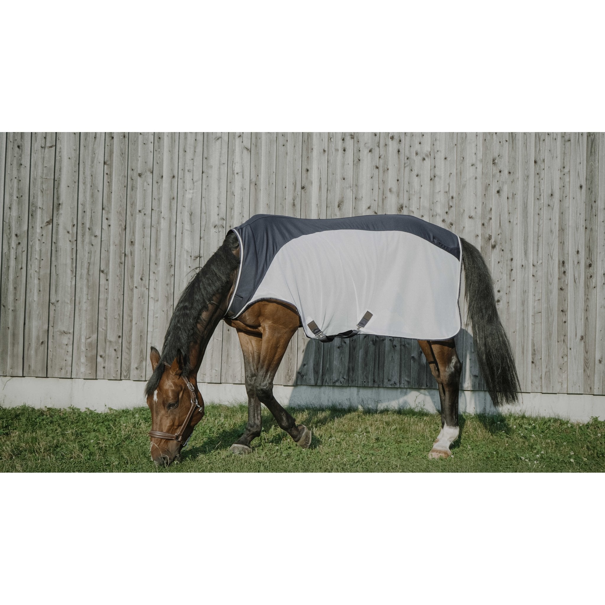 Equitheme Flycool Skrittmaskinstäcke