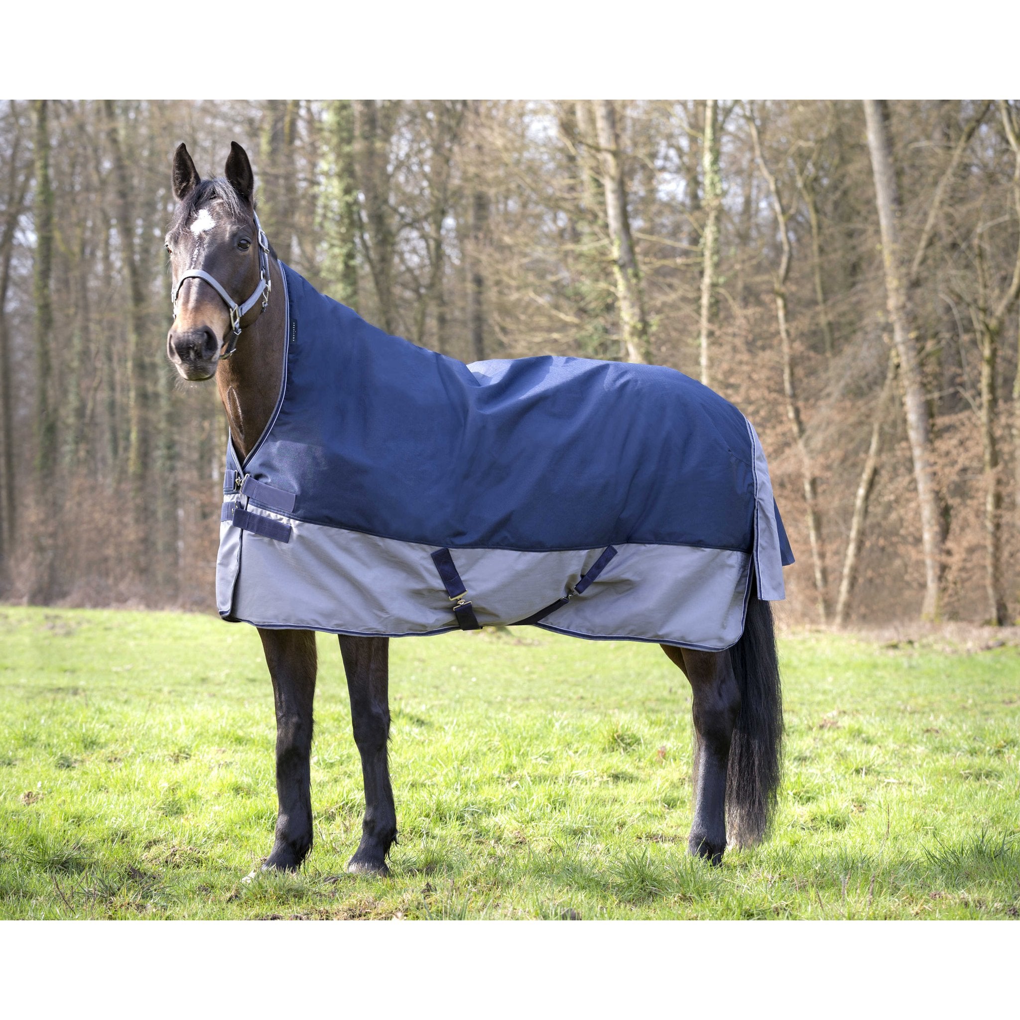 Equithème TYREX 600D utetäcke med hög hals 300 g