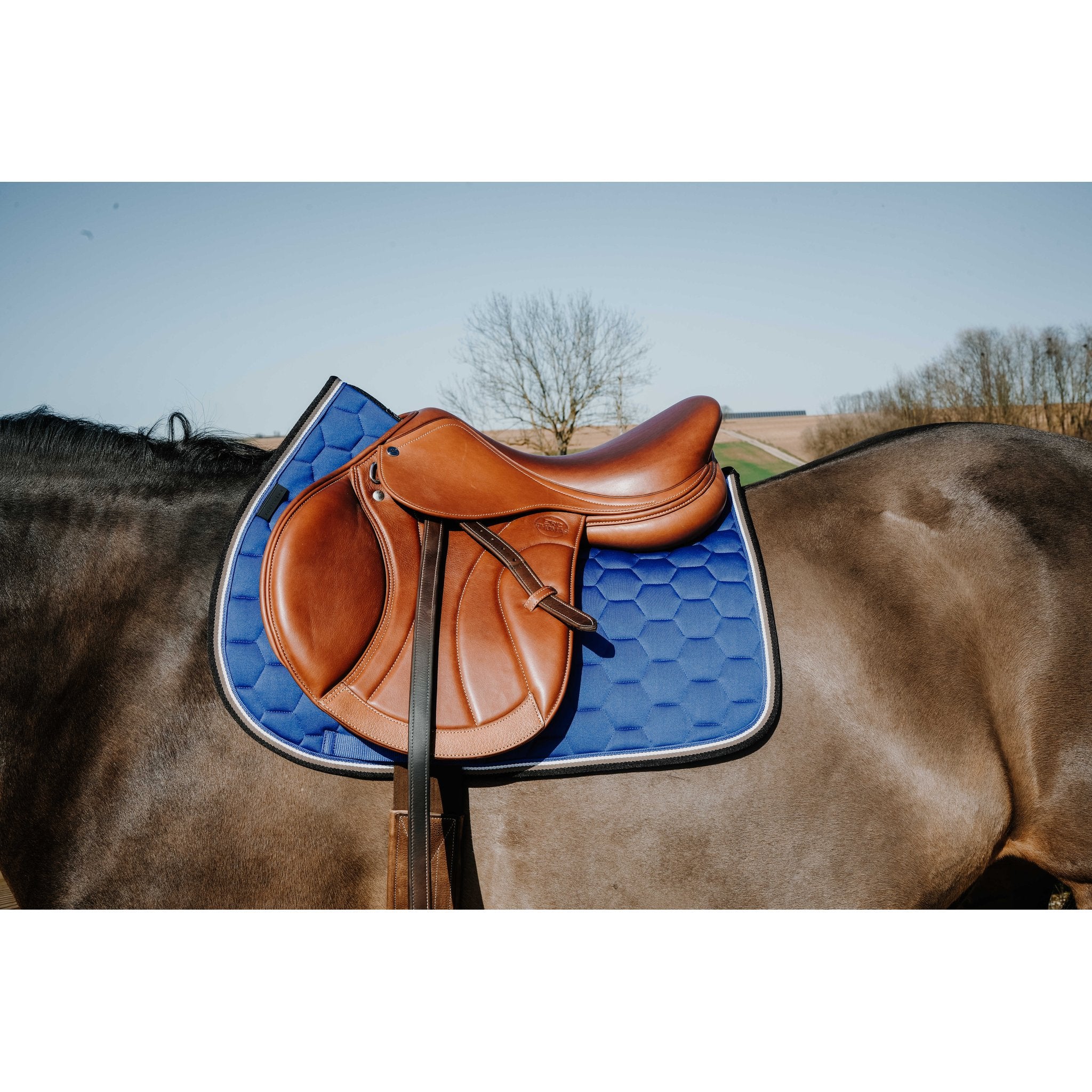 Equitheme Coco schabrak