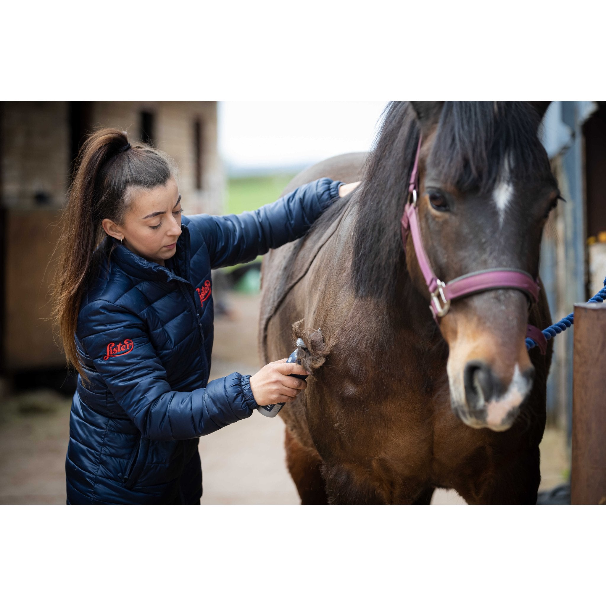 LISTER Eclipse sladdlös klippmaskin