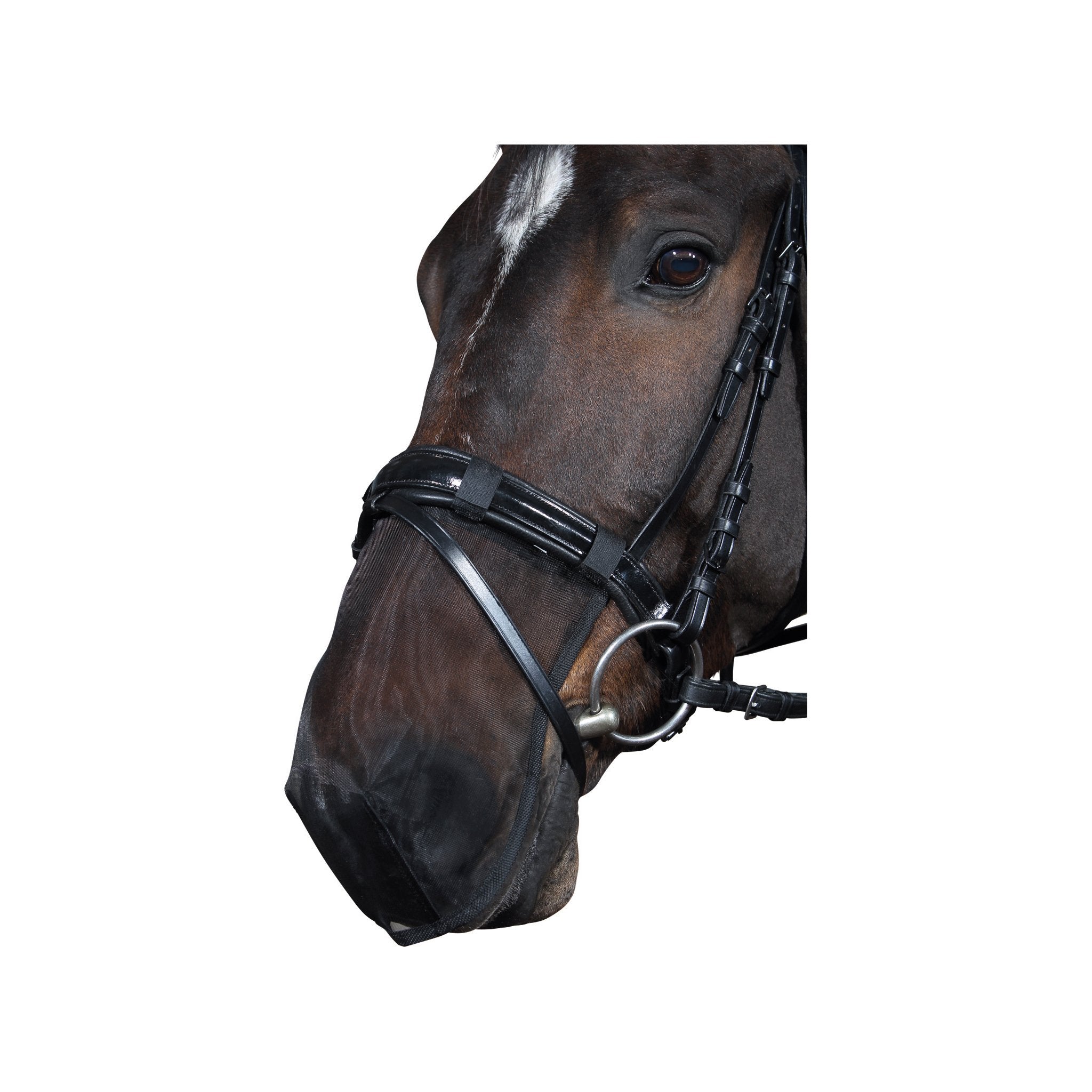 HorseGuard mulskydd