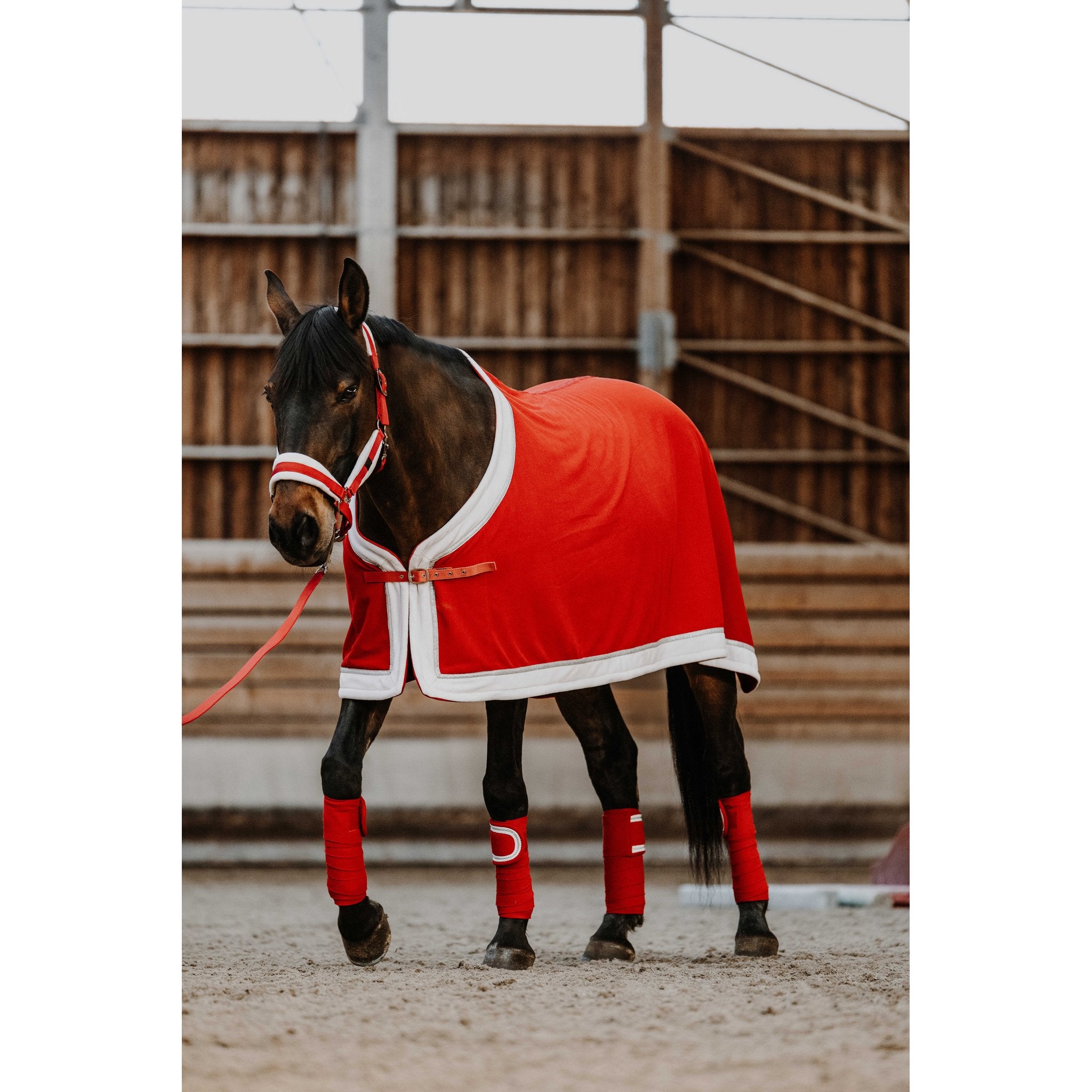 Equitheme X-mas lindor