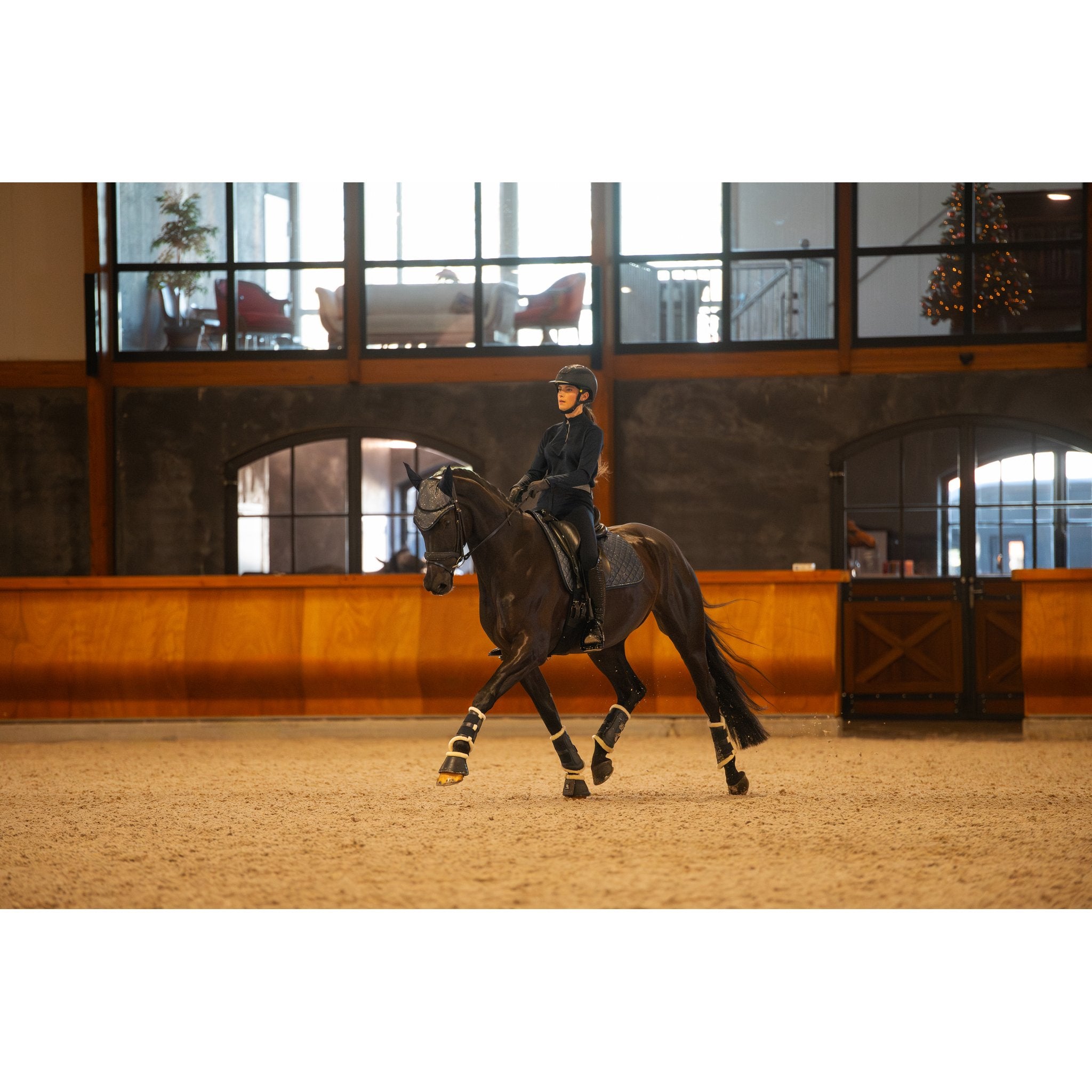 HorseGuard Milva Schabrak Hopp