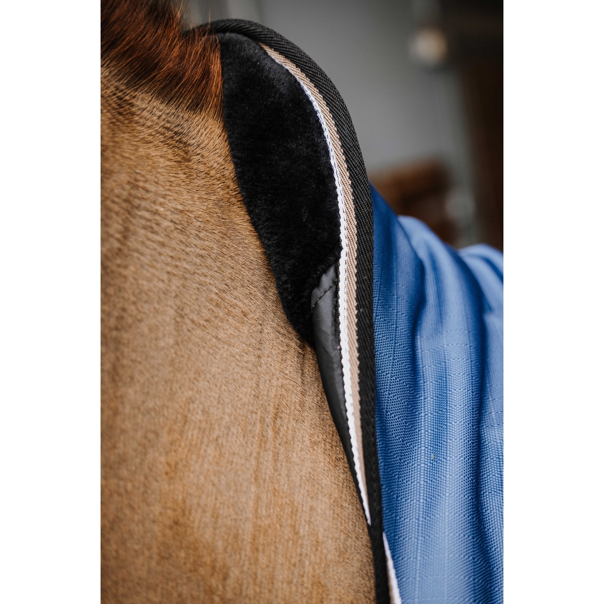 Equitheme Cobalt High neck Freedom of movement