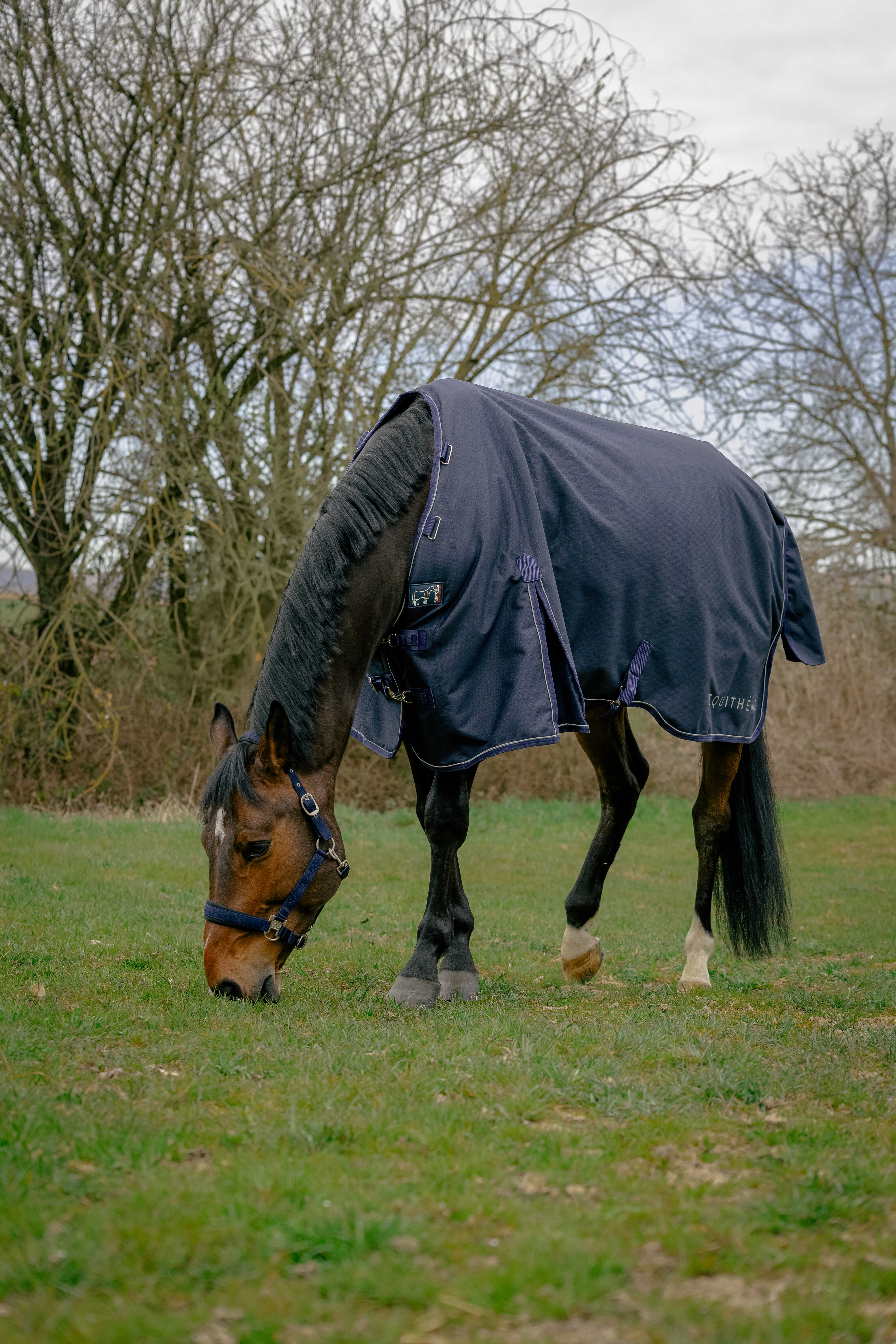 Equitheme Anatomic Aisance 1200 D