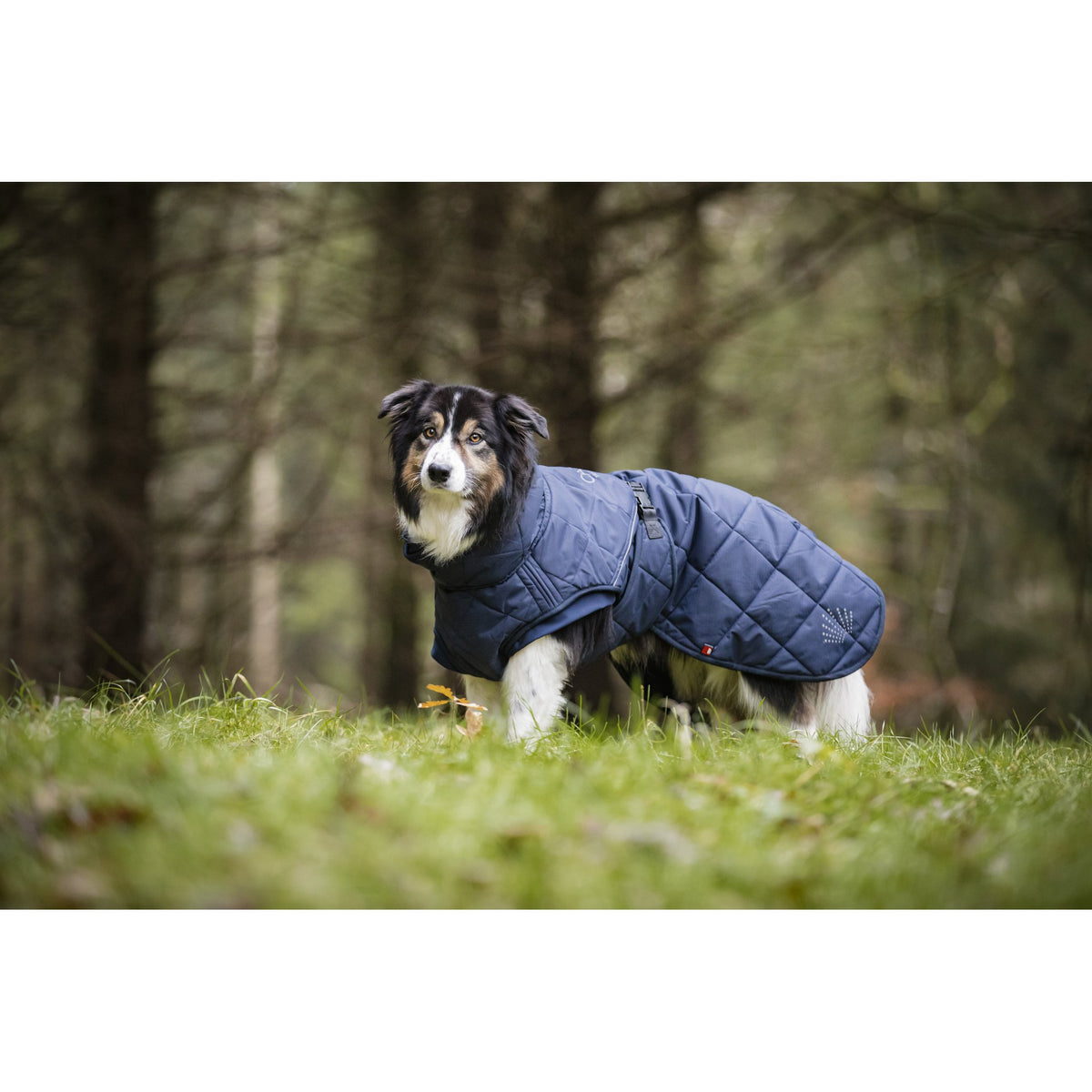 CATAGO Fir-Tech Trainer Dog rug