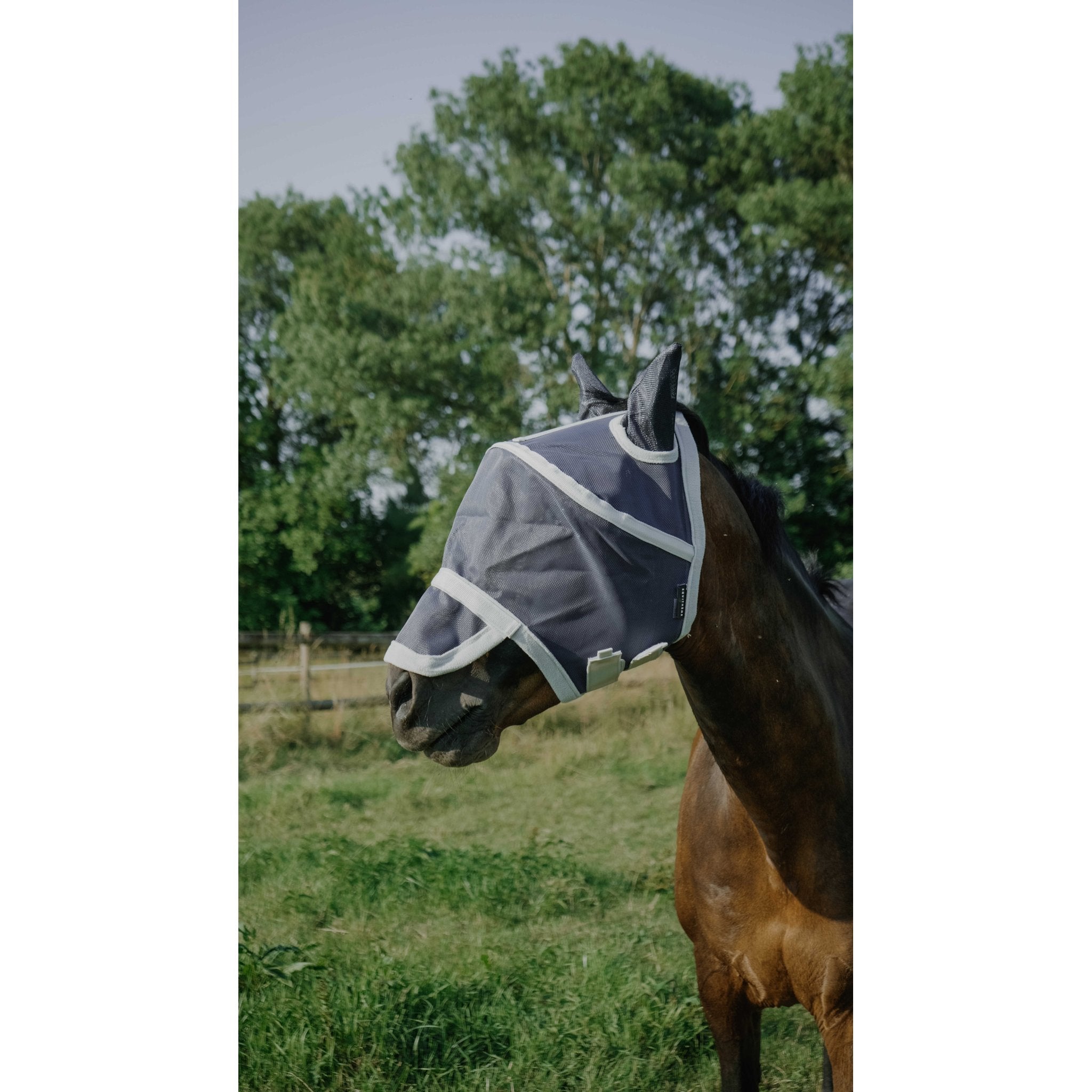 Equithème Cerceau Flugluva/UV-mask