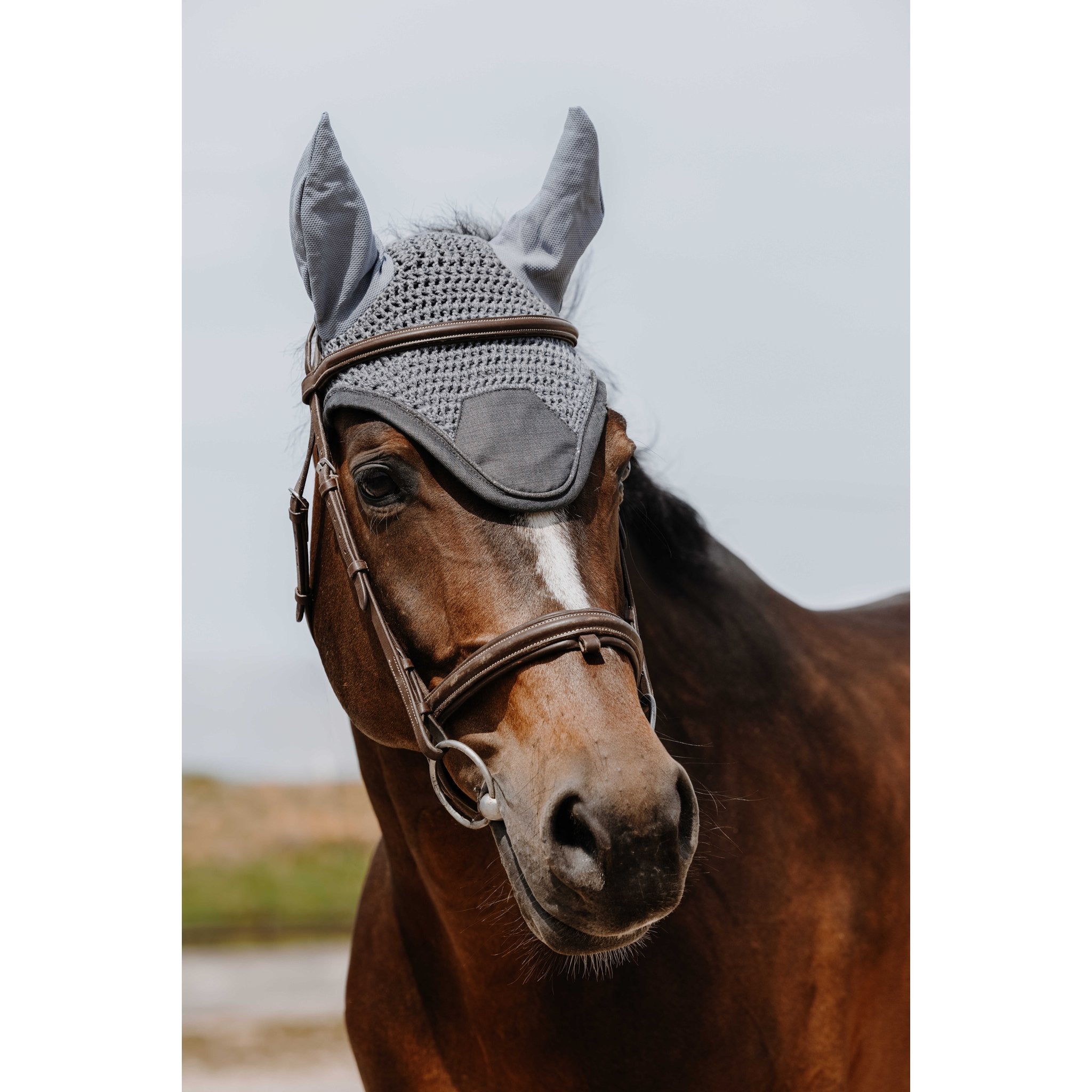 Equithème Chic Luva