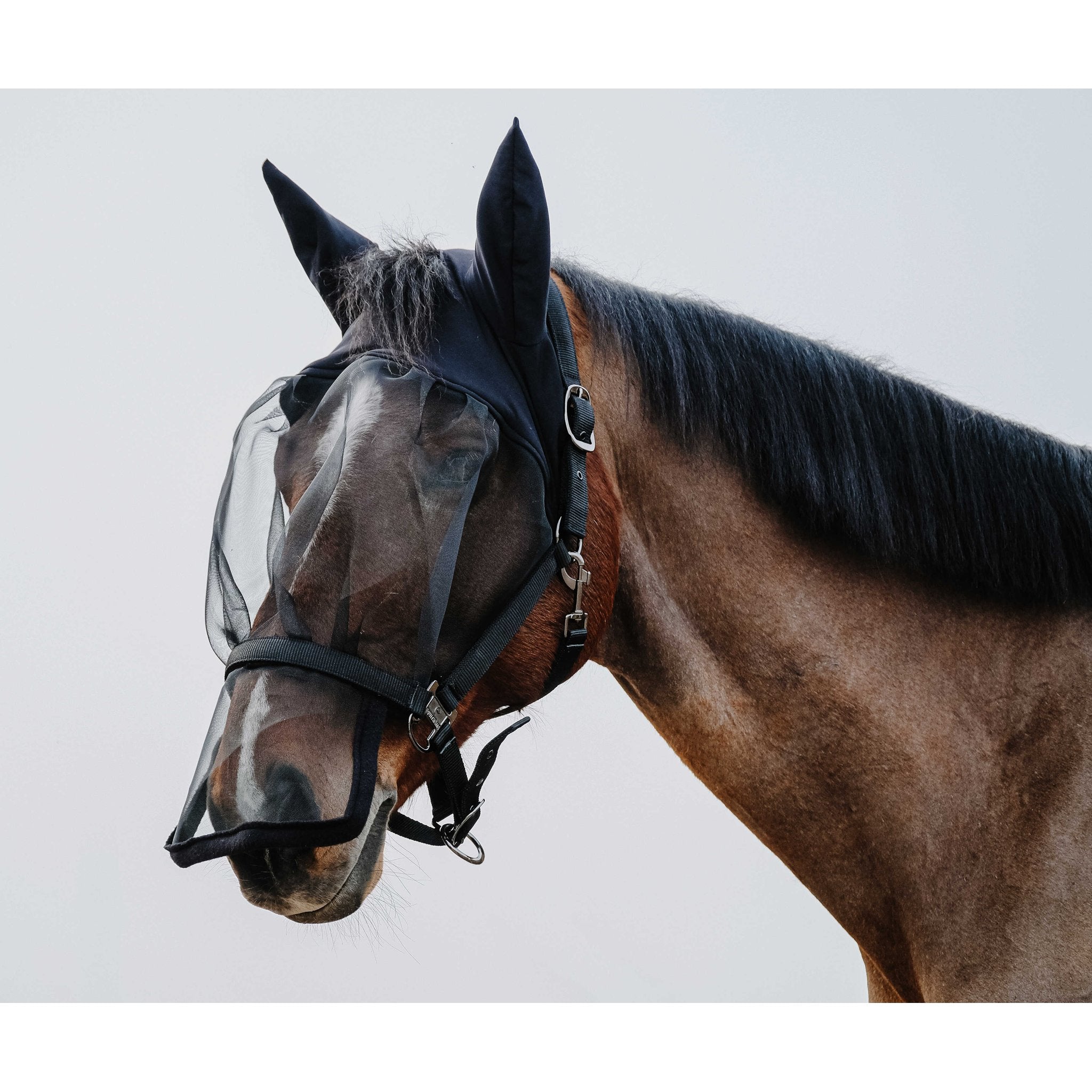 Equithème Grimma + Anti UV-mask