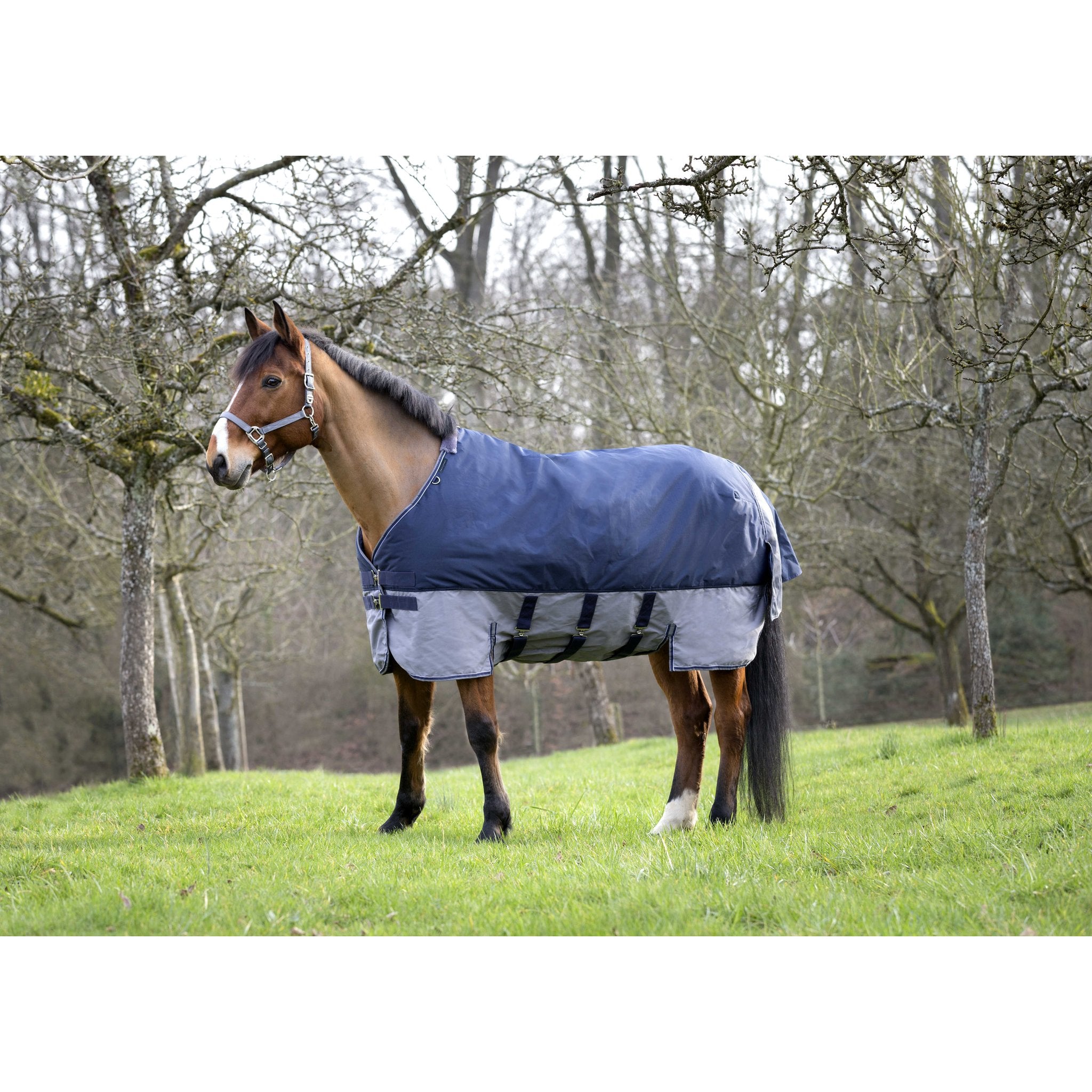 Equithème TYREX 600D Turnout täcke med magskydd 300 g