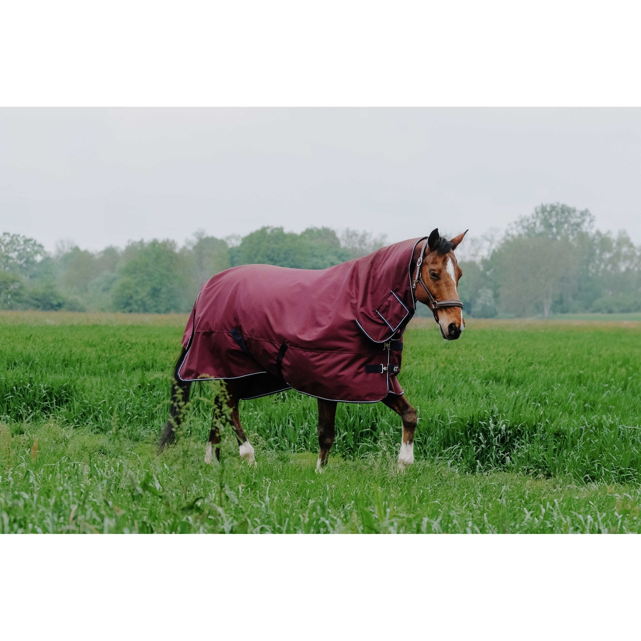 Equithème TYREX 1200D Combo täcke 200 g