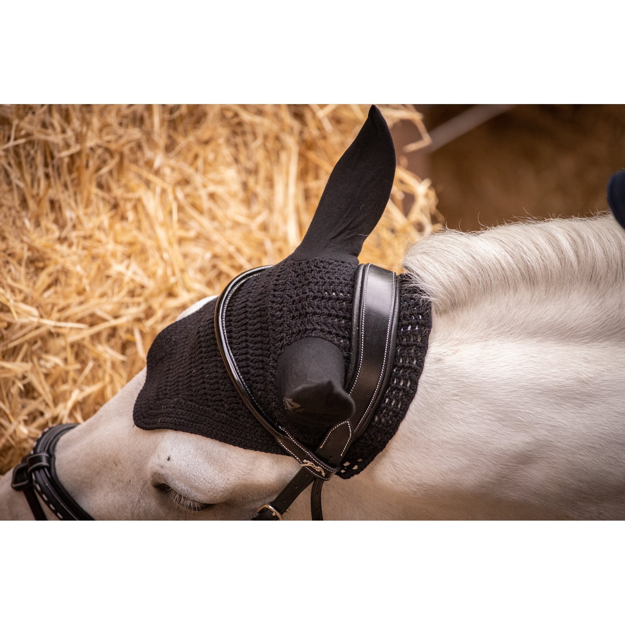PADDOCK Pro coton luva