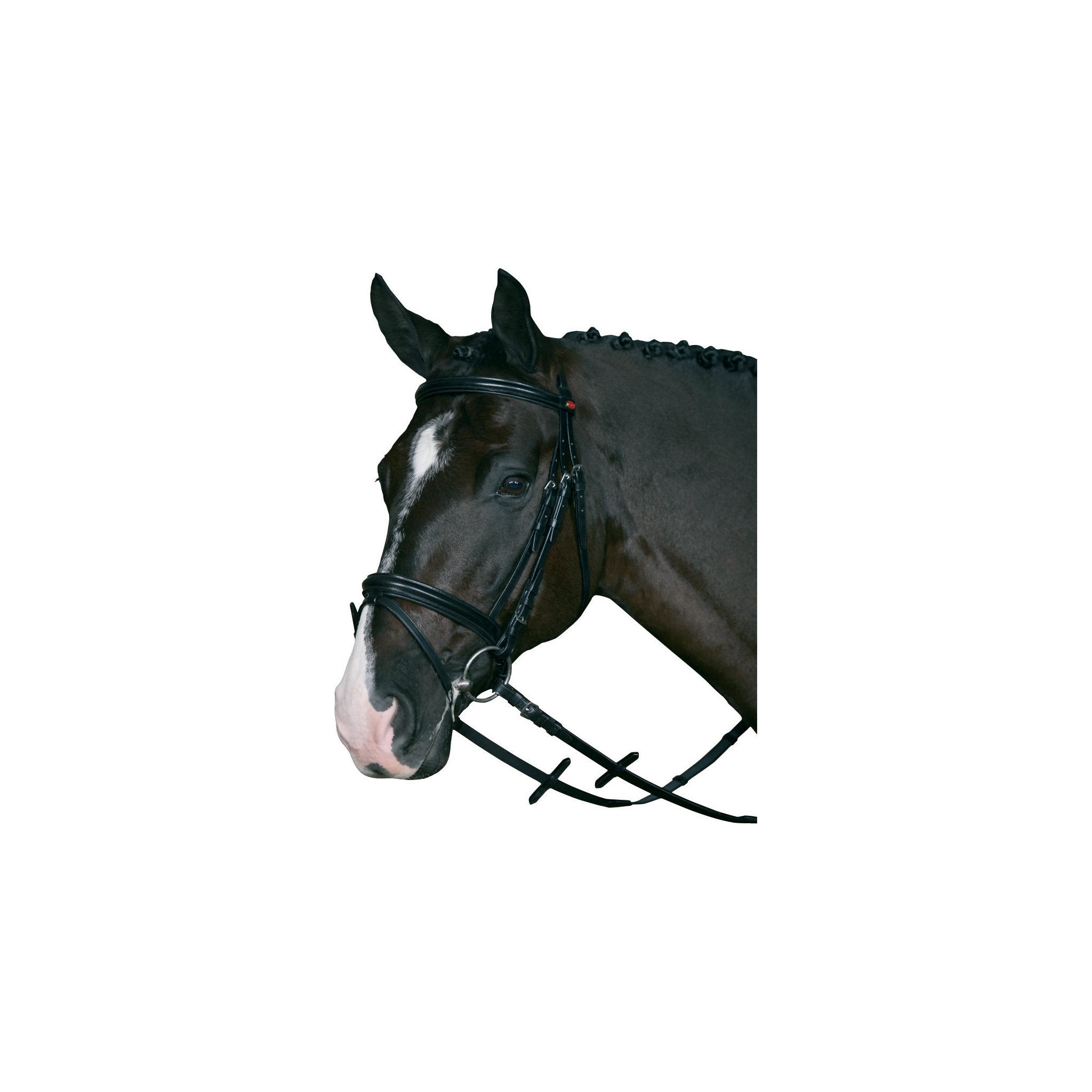 HorseGuard Träns m/supergrepp tygel