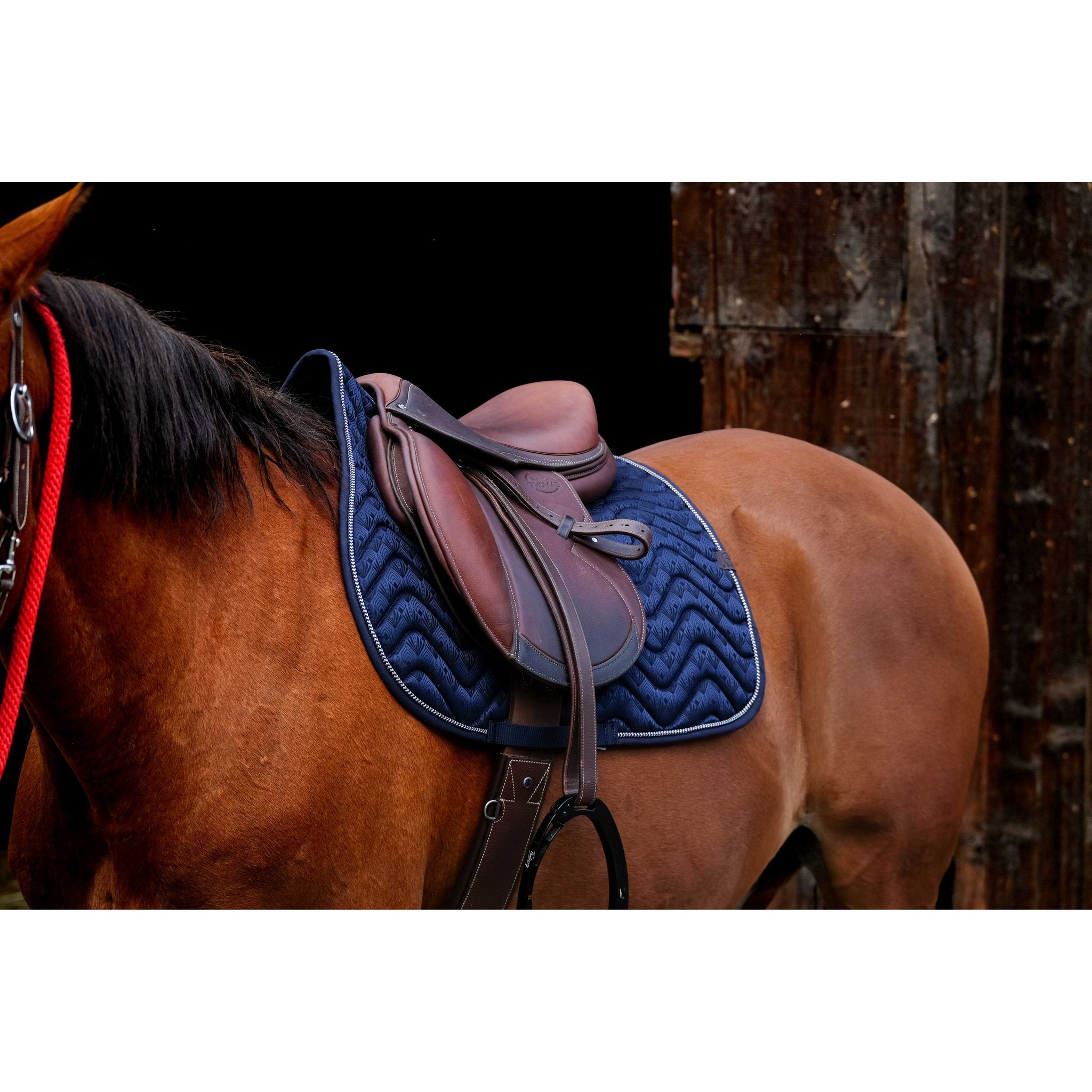 Equitheme Brocart schabrak