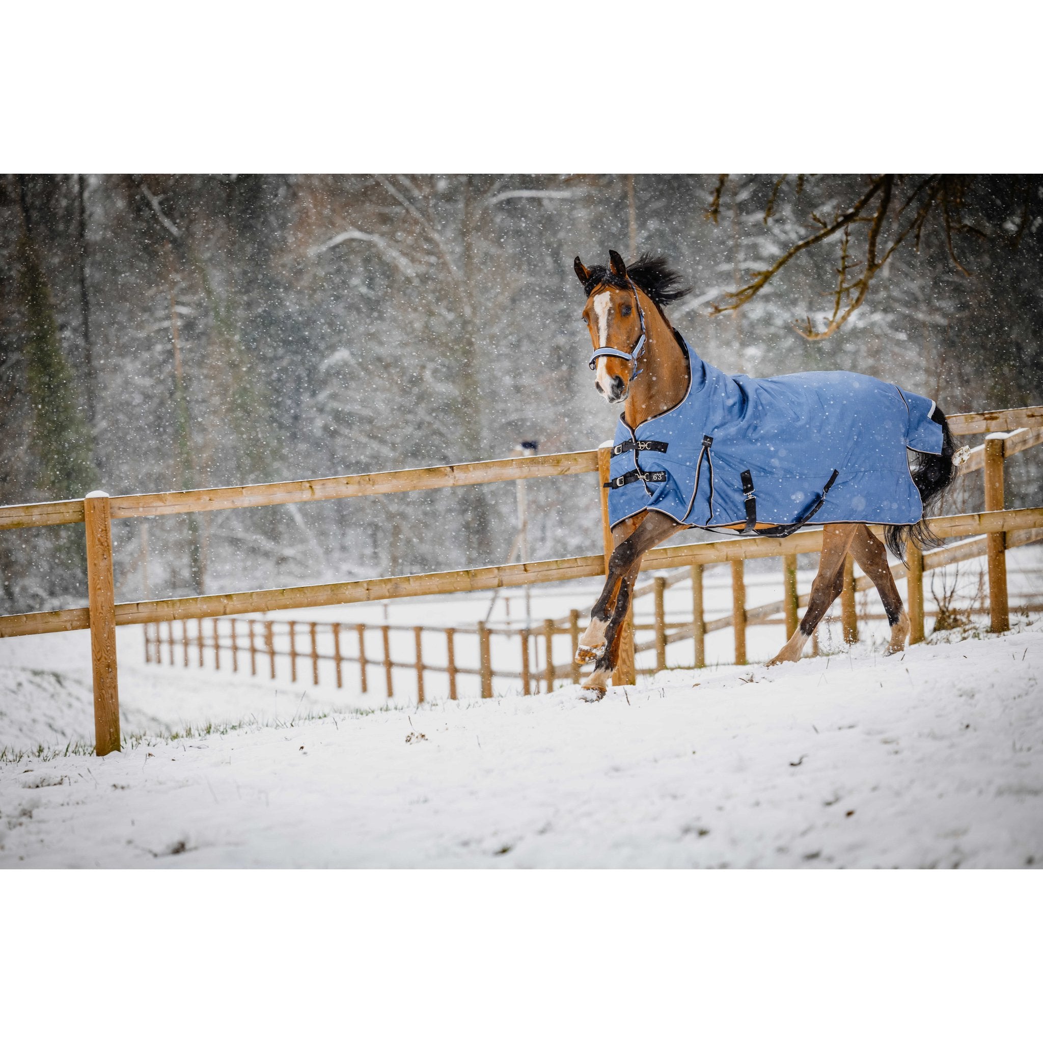 Equitheme Tyrex Aisance high neck, 150 g