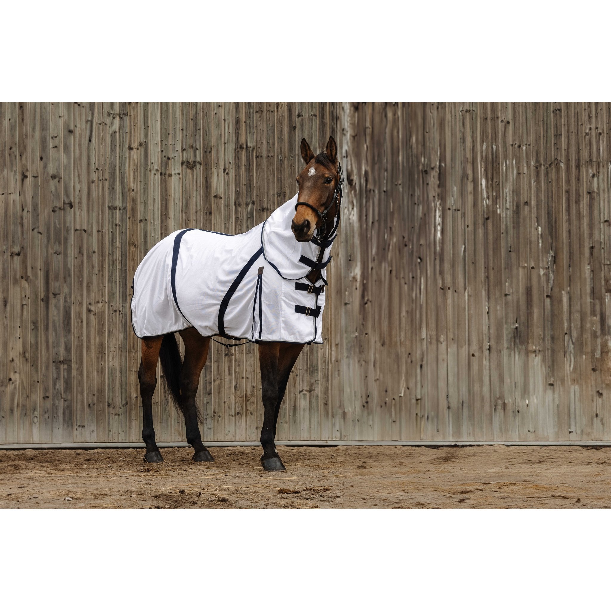 Equithème Mesh Anti Insektstäcke