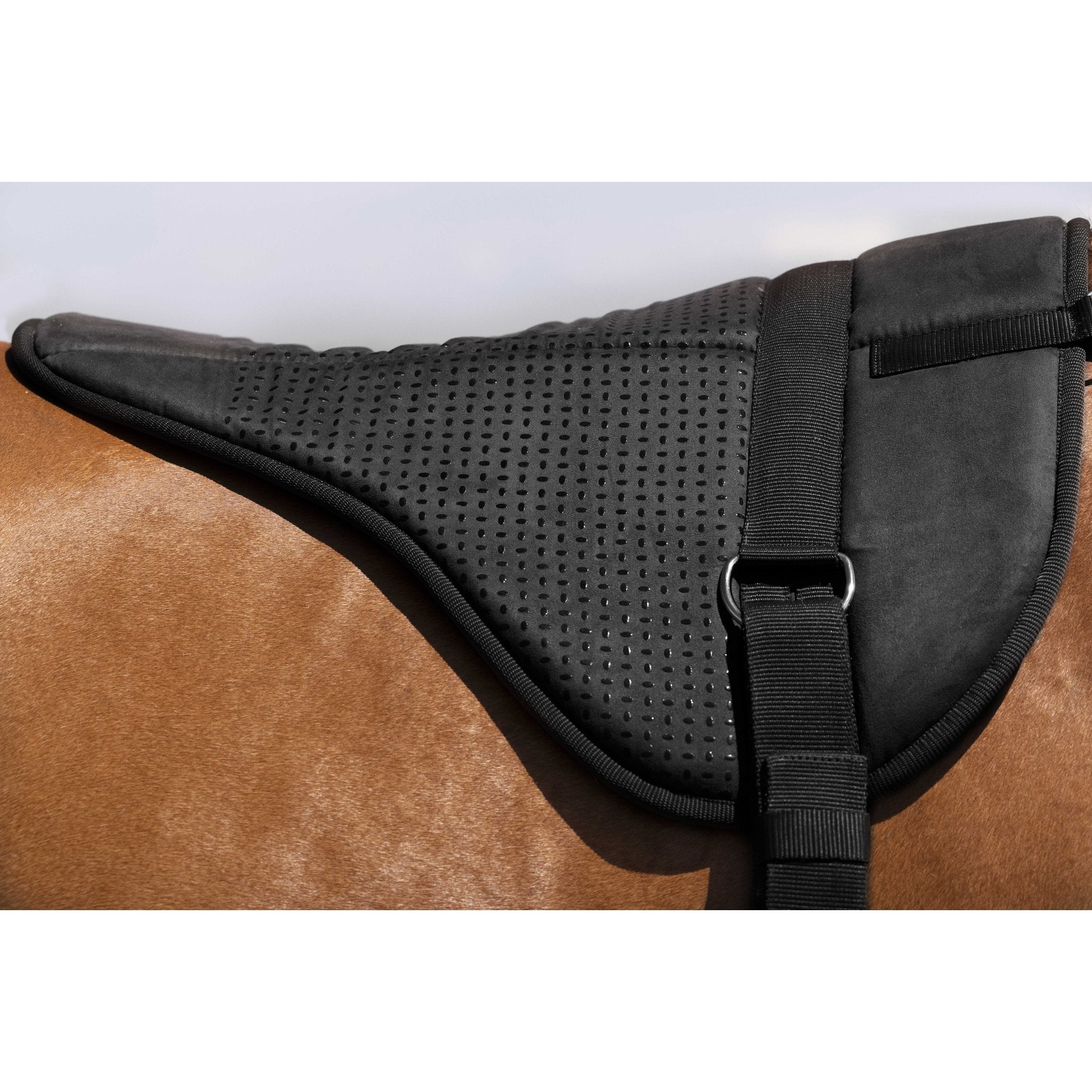 Norton barbackapadd Silicone