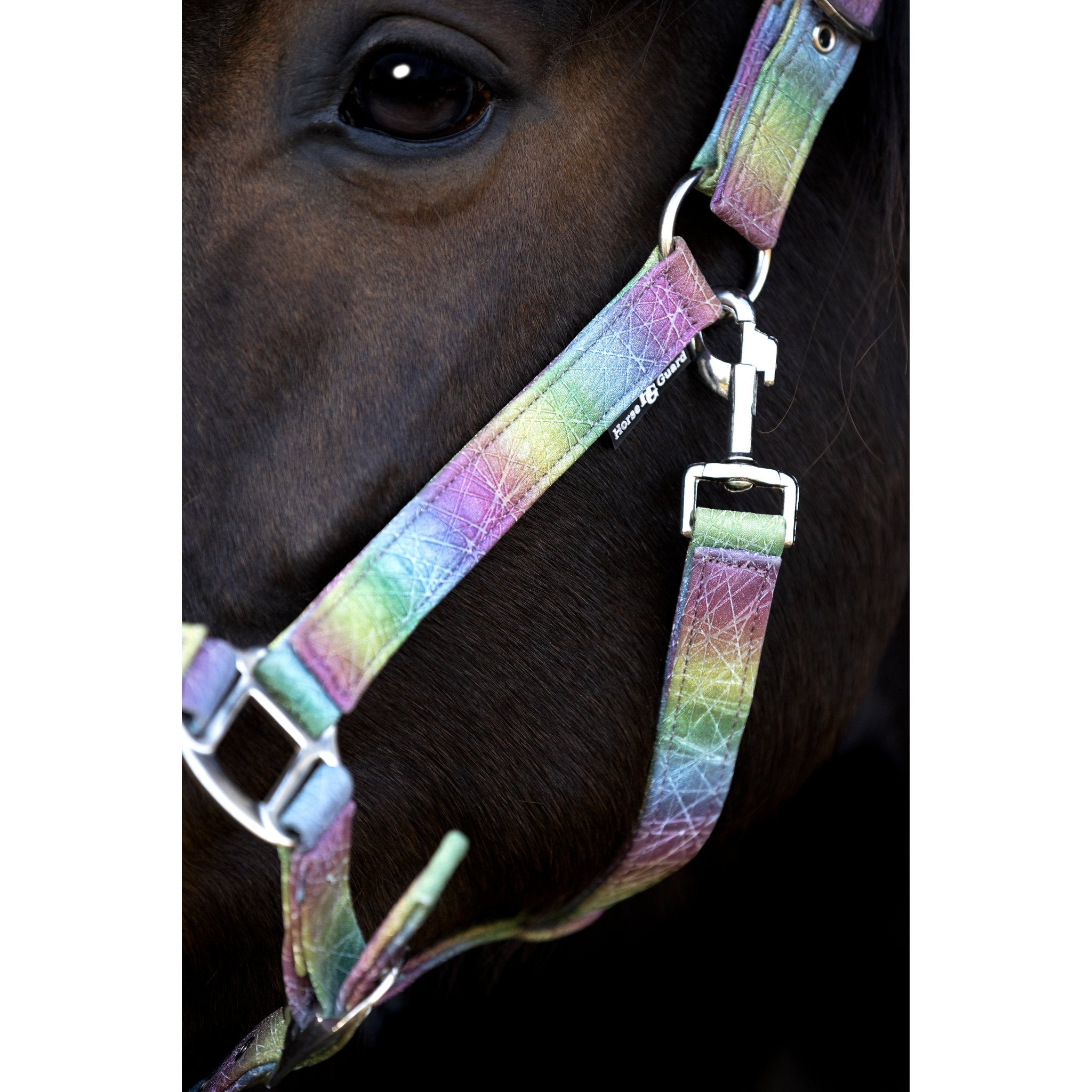 Horse Guard Rockford regnbågsgrimma med glitter