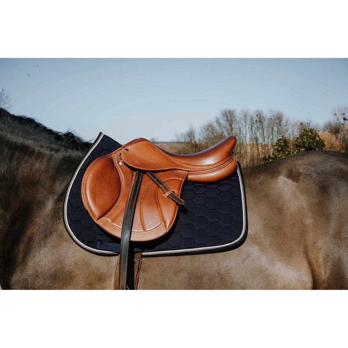Equitheme Coco schabrak