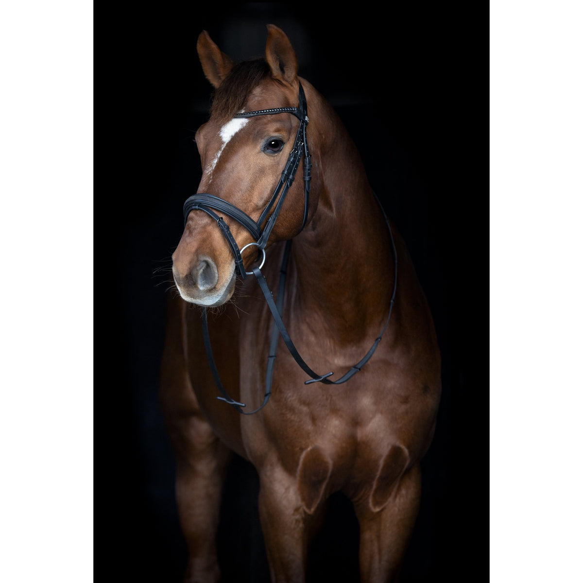 Horse Guard Emi 26.2 träns med kombinerad nosgrimma