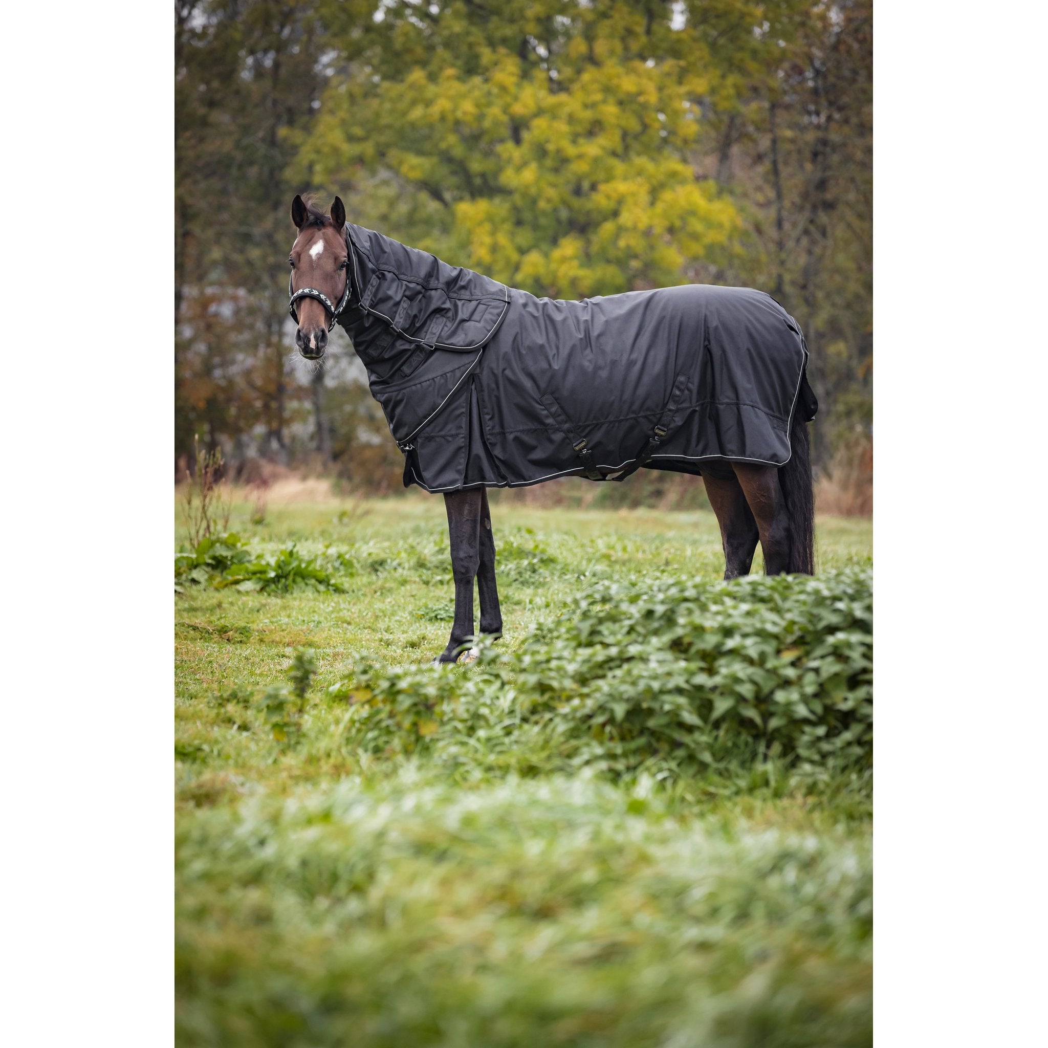 CATAGO Endurance 2.0 halsstycke, 150g