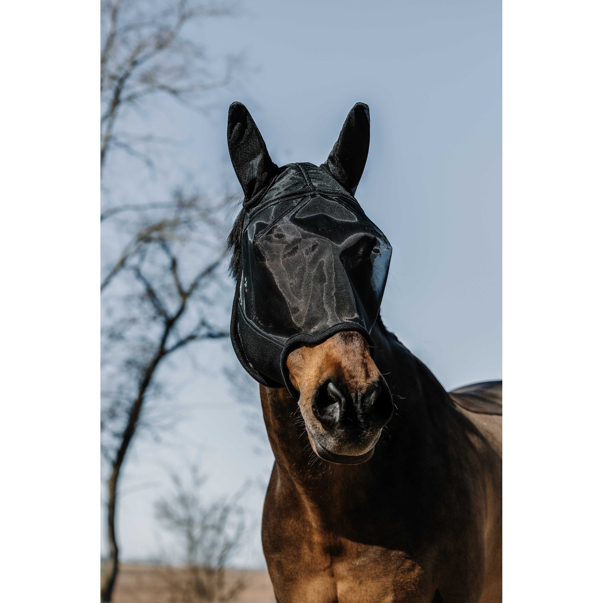 Equithème Anatomic Flugluva/UV-mask