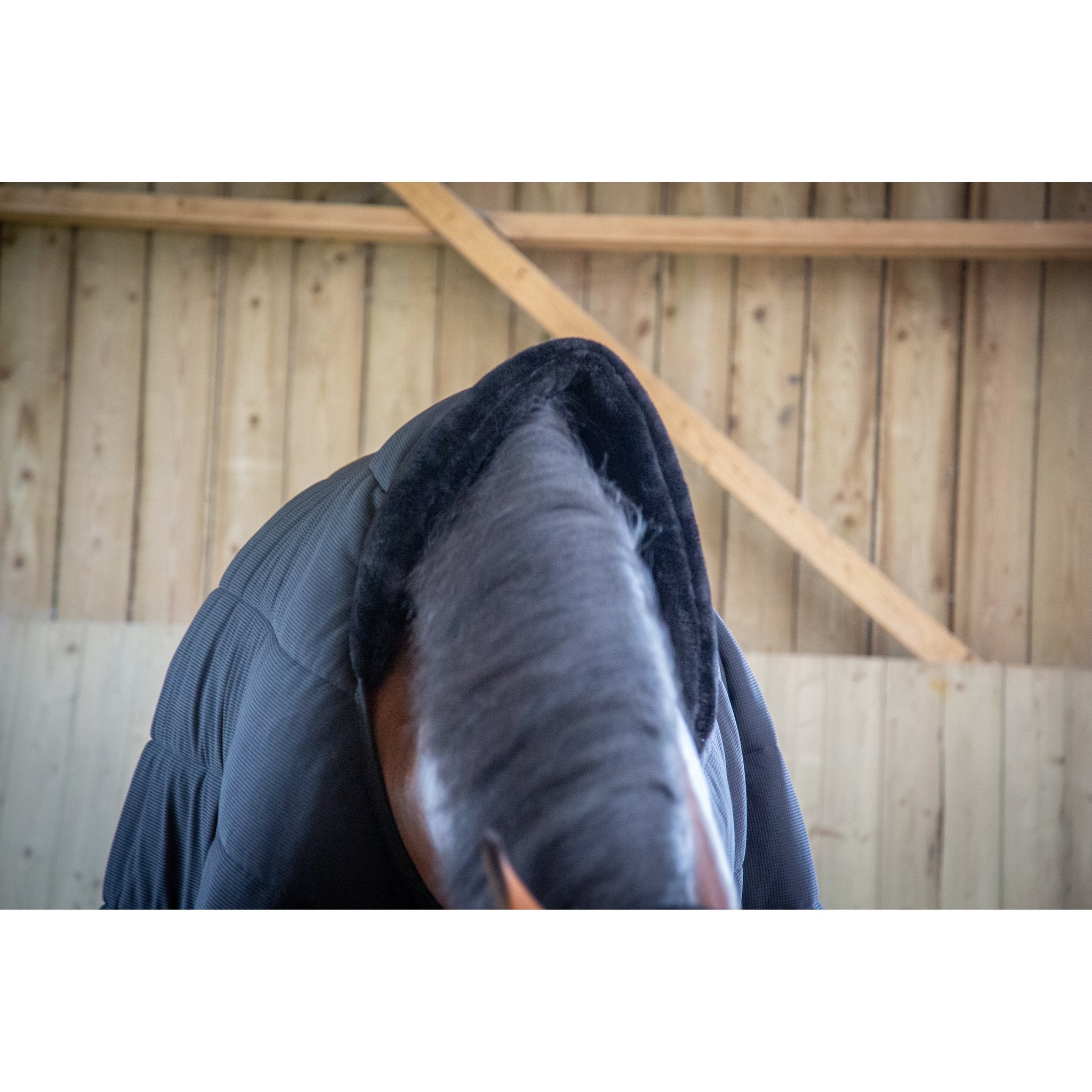 PADDOCK undertäcke 200 g