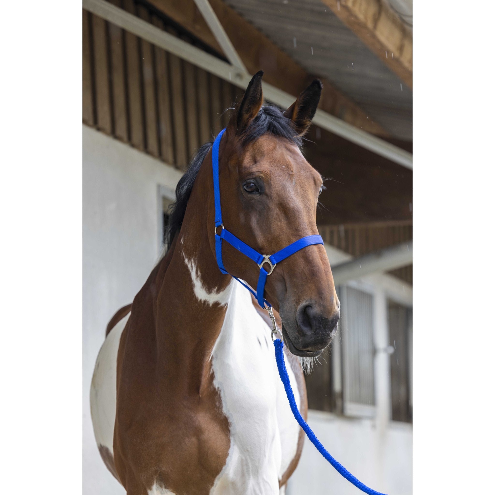 Riding World set grimma + grimskaft